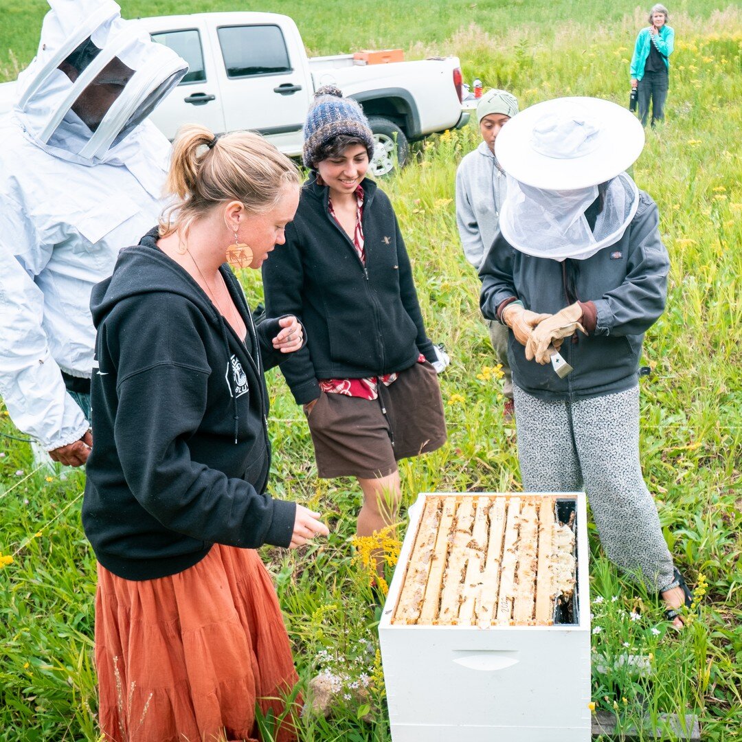 Special Miigwech to the @prairie_bee_project for helping us with our bee hives.  This season, Kaylee came by and helped us get our bees in order.  Sharing knowledge on starting and maintaining a healthy bee community that led to a successful honey ha