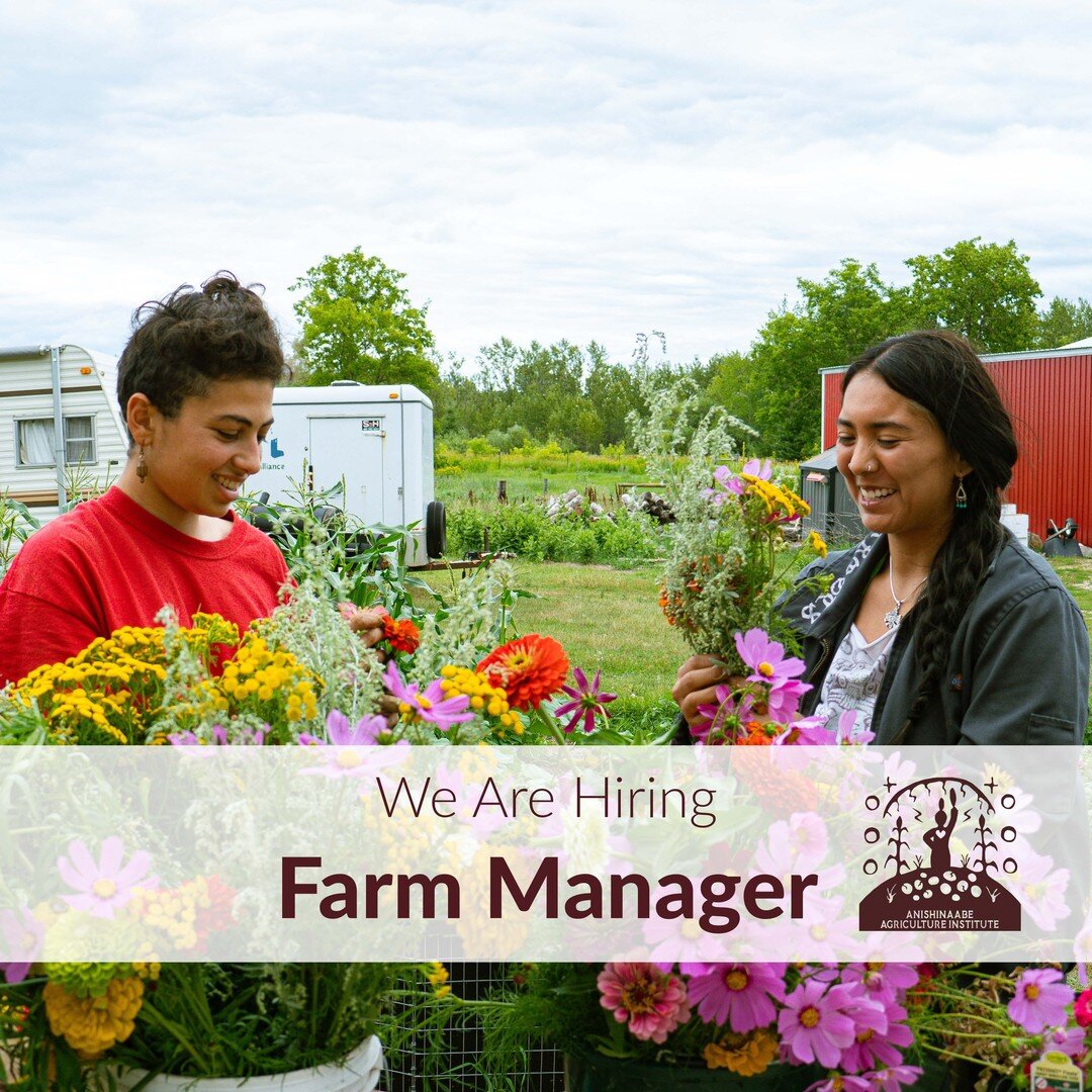 AAI is now hiring for a Farm Manager. 

The Farm Manager will play an important role in this by maintaining the land and the crops that we grow for the community we live and work in, as well as the larger regional indigenous food system we are a part