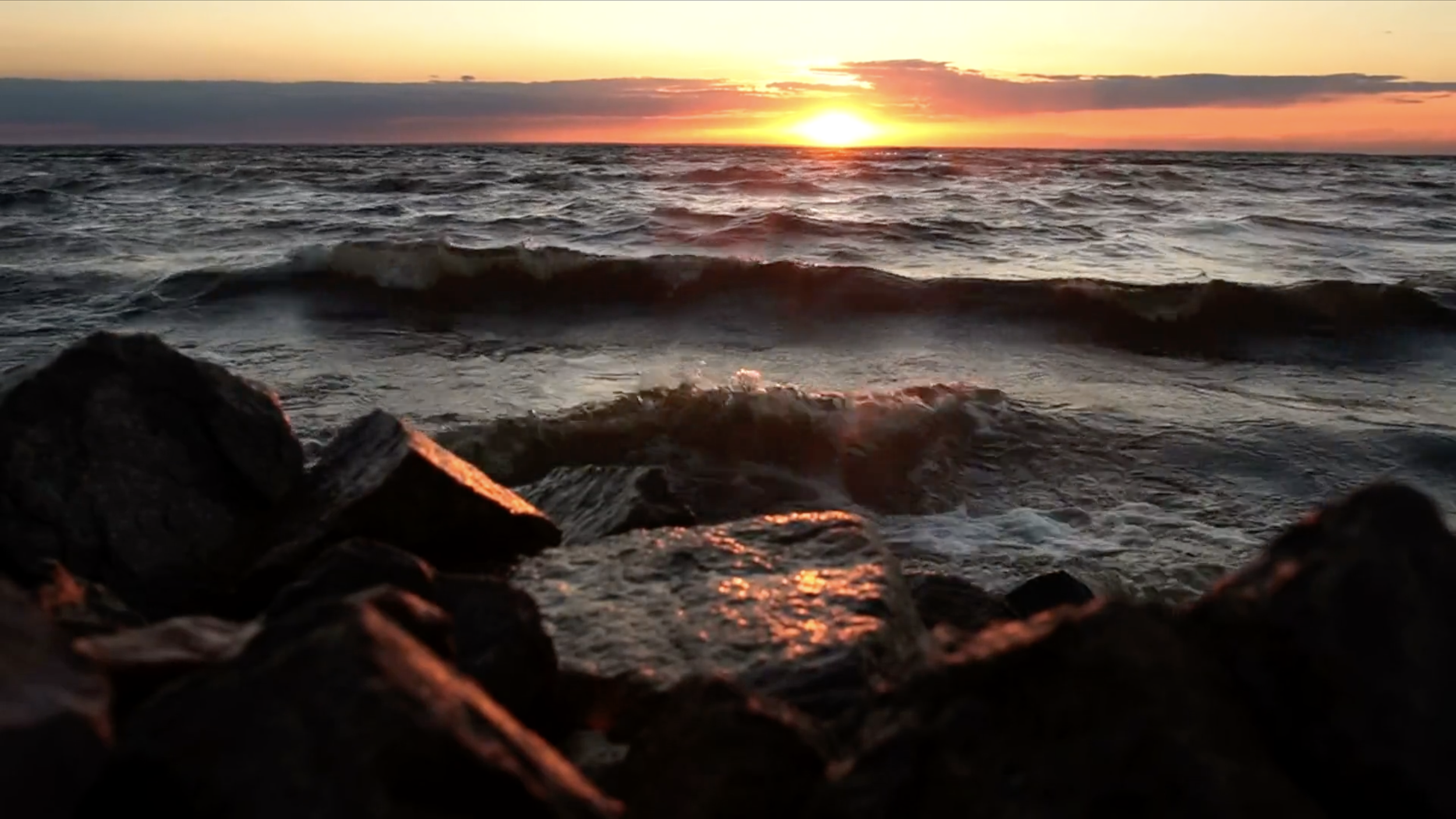 Screenshot 2026-03-16 at 7.43.38 PM.png