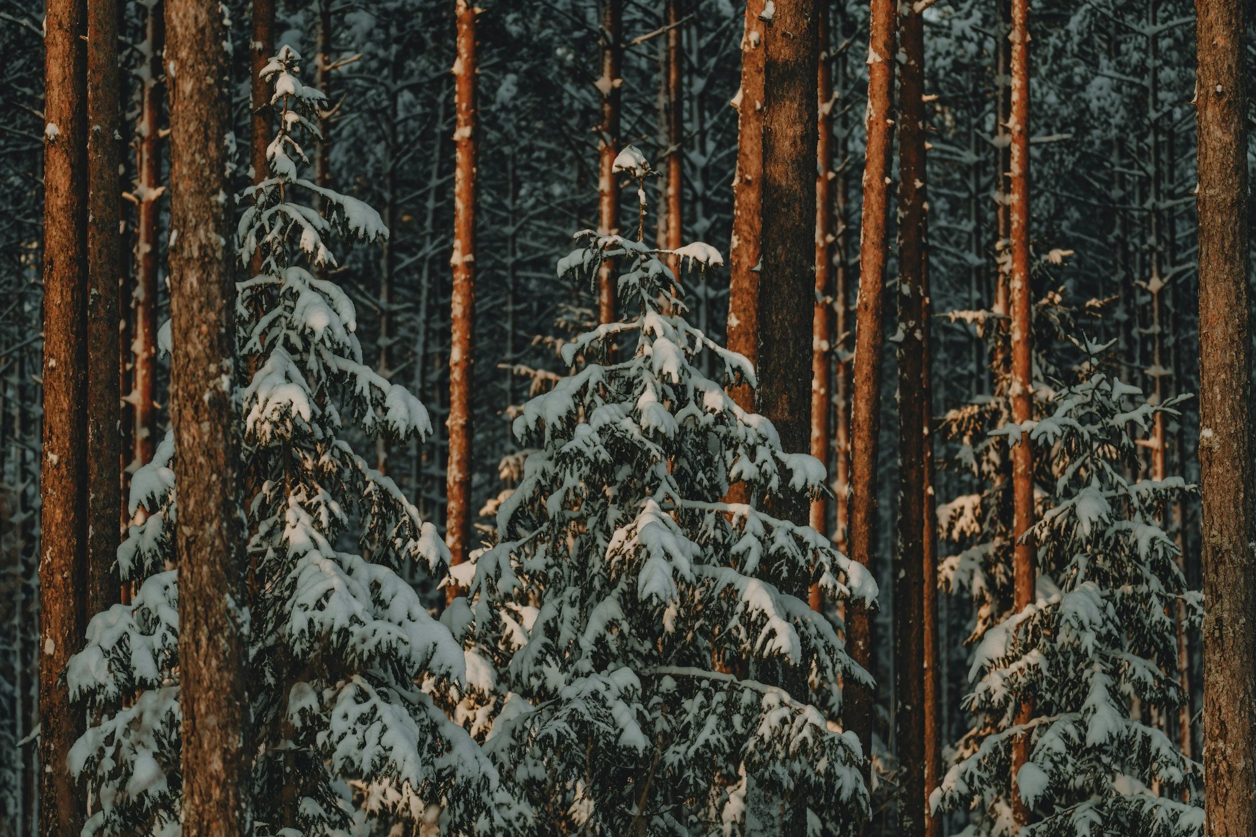 Baby It’s (Getting) Cold Outside: A 6-Week Support Group for the Colder Months