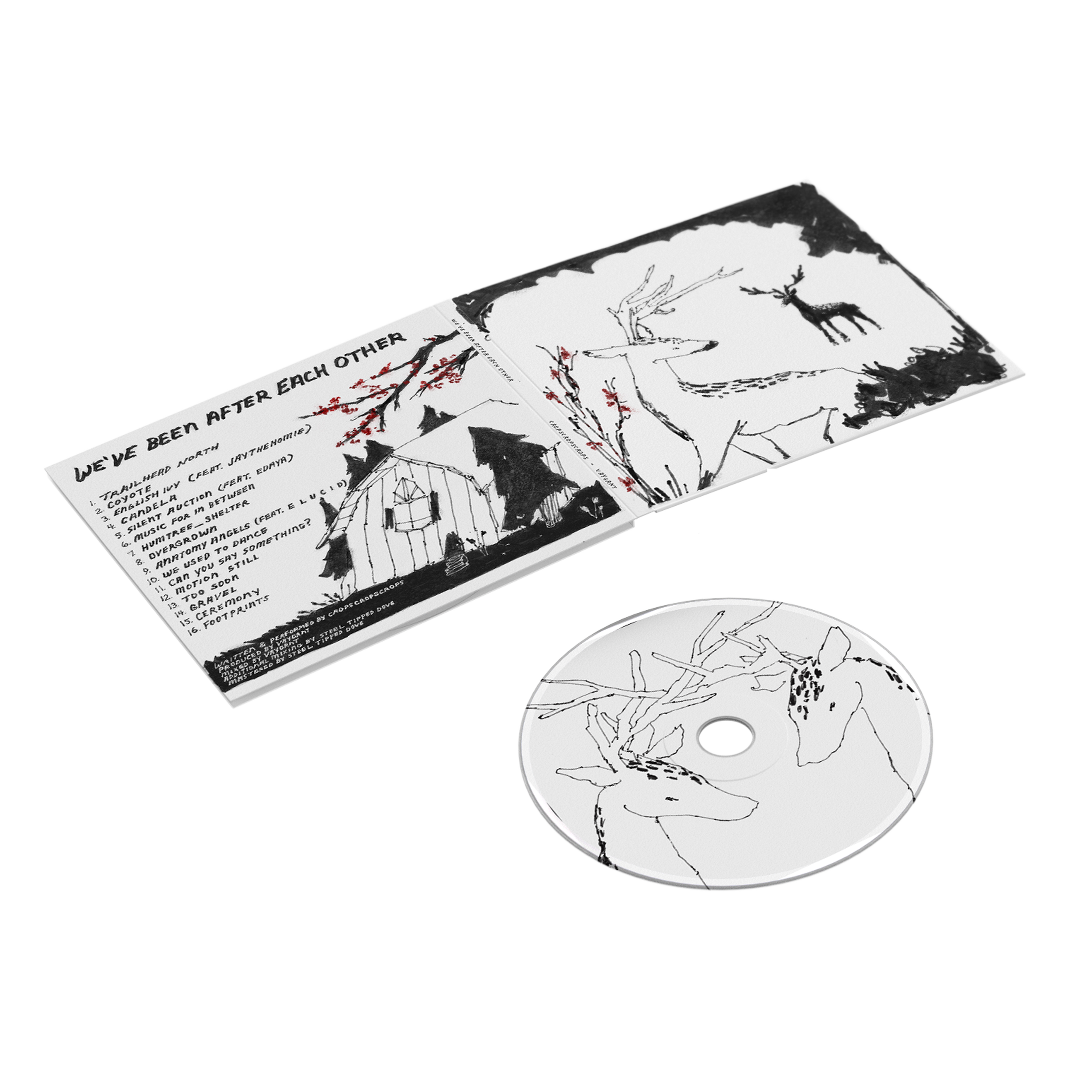 We've Been After Each Other - CD