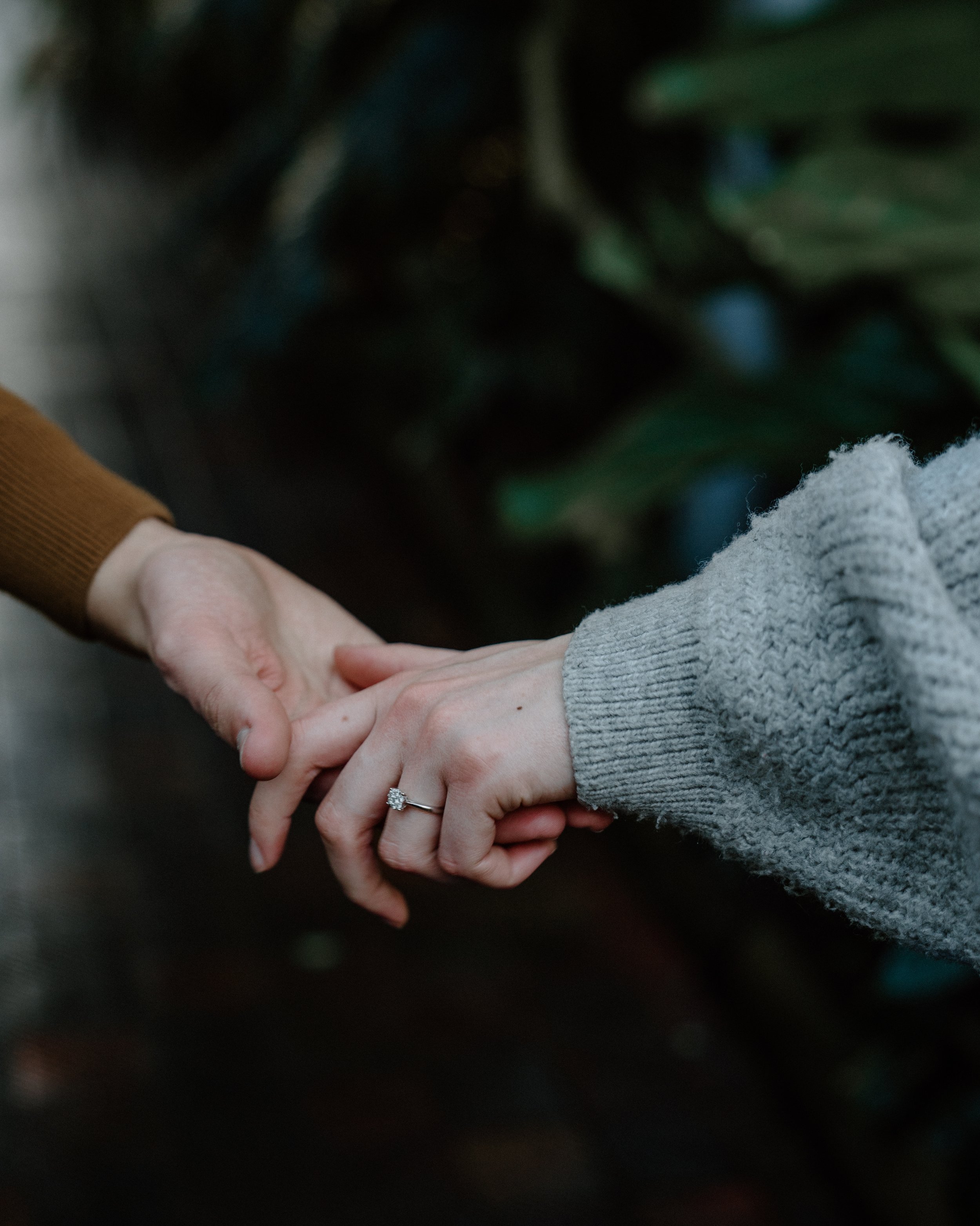 LTP-Carla and Michael-Engagement Session-151.jpg