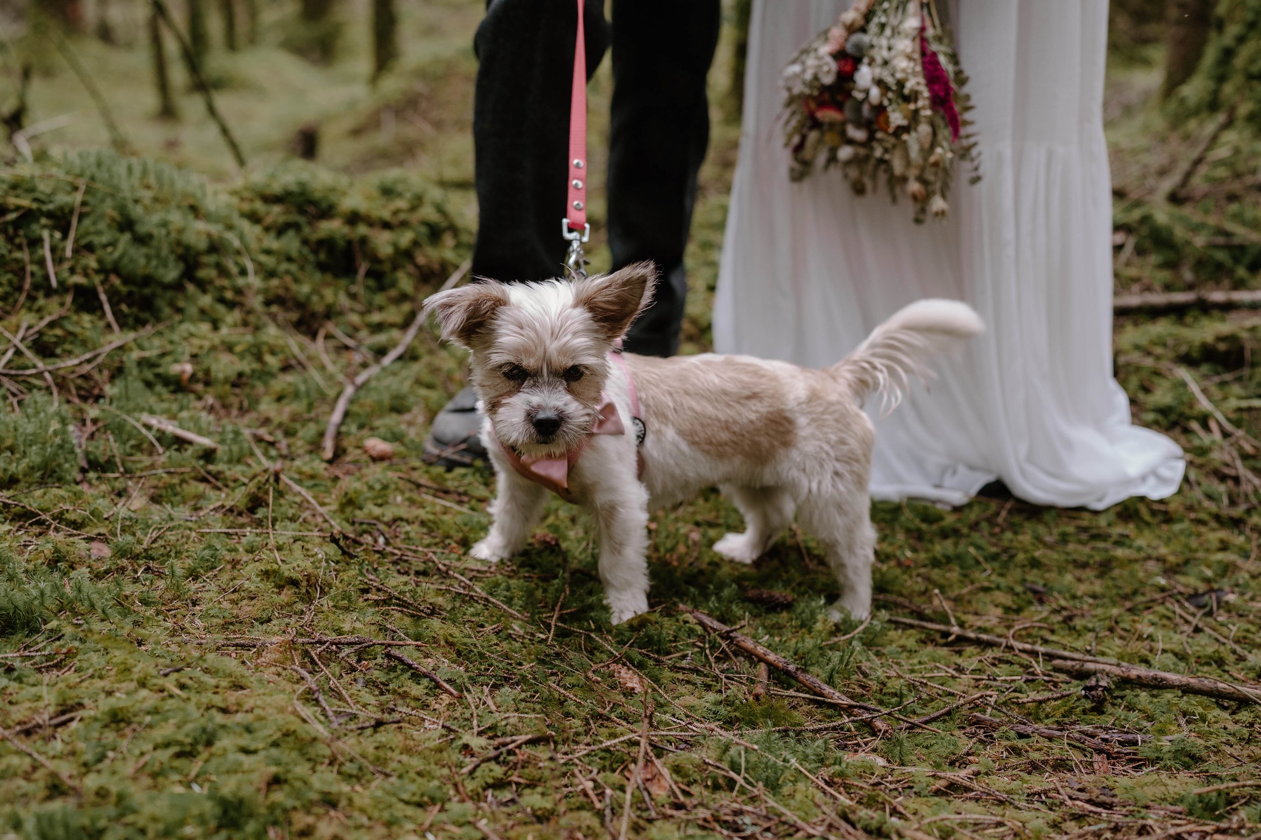 LTP-Adele and Aaron Elopement-187.jpg