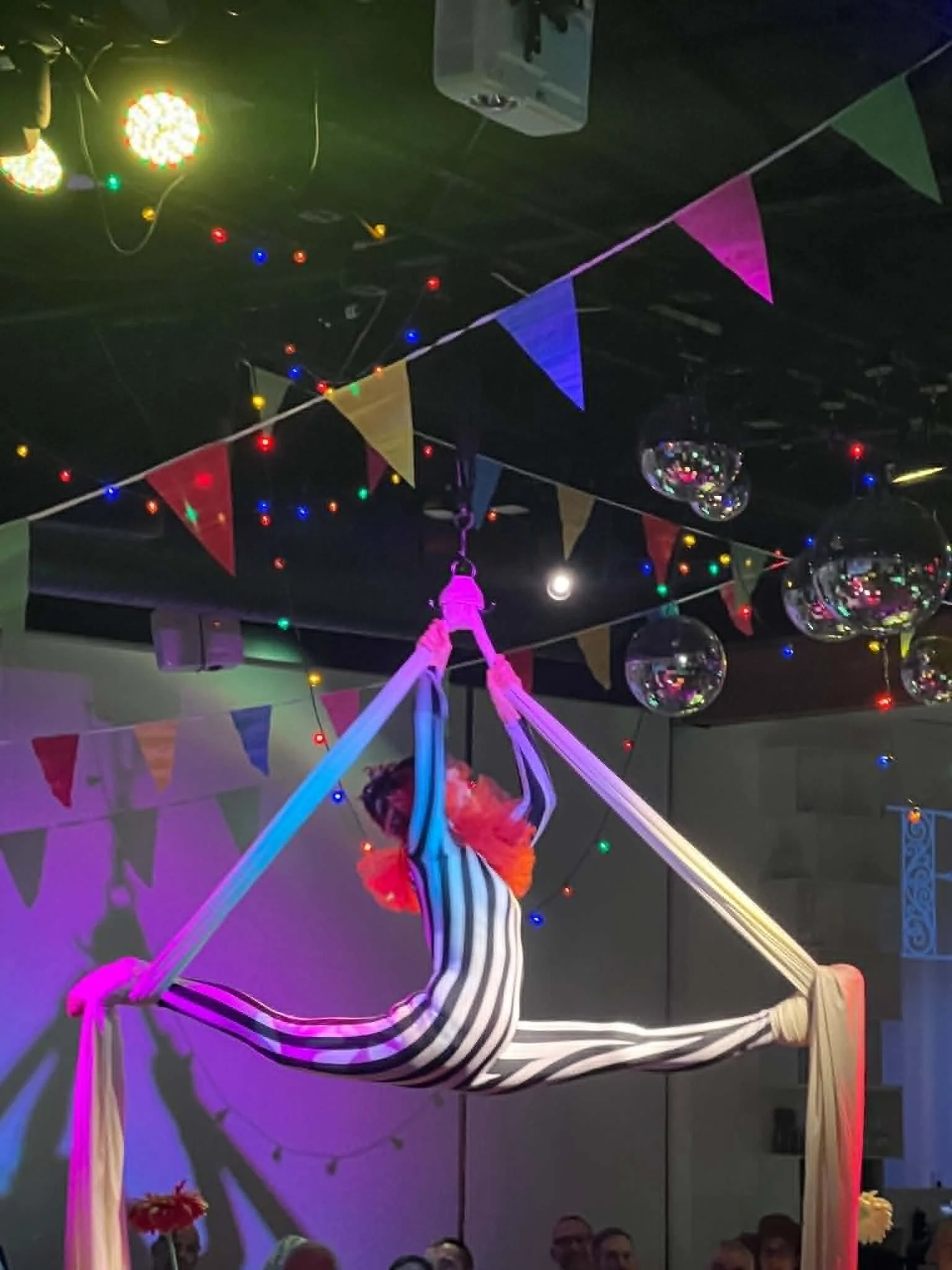 An aerial performer adds unexpected theatrical moments that transform dinner into a one-of-a-kind immersive experience.