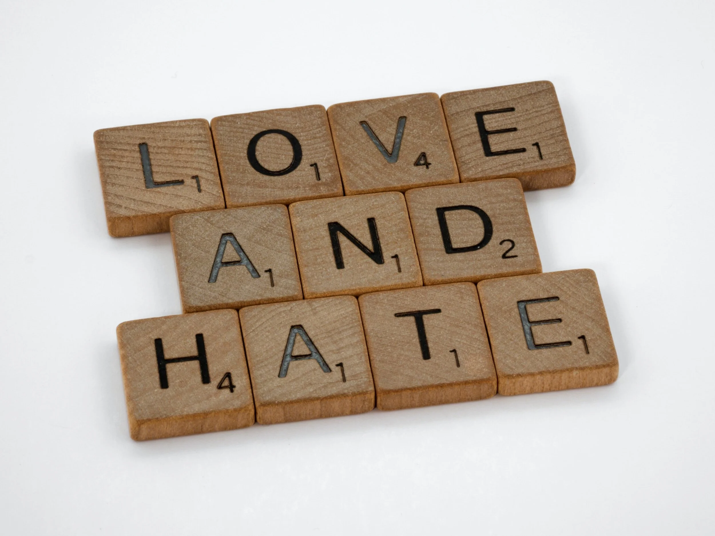 The World's Hatred &amp; Our Love