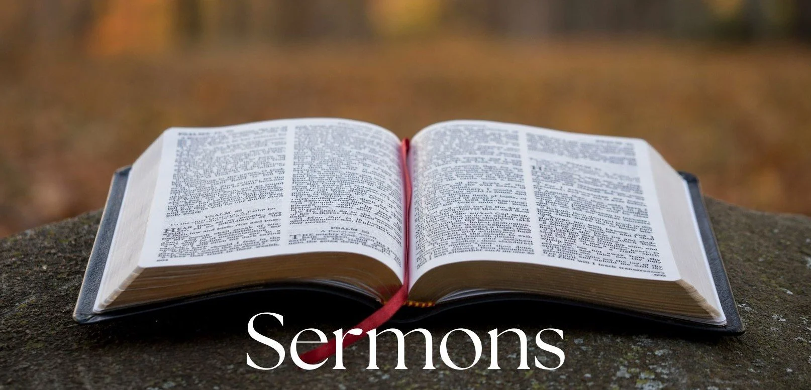 SERMONS1.jpg