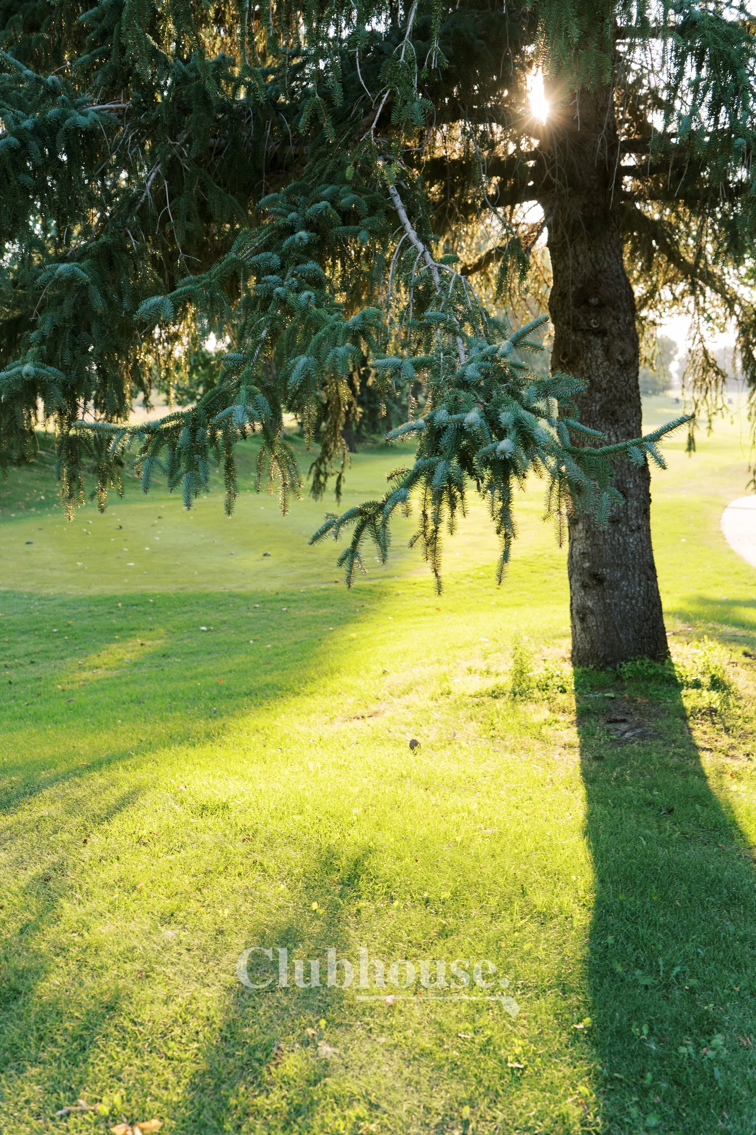 CLUBHOUSE_LadiesNight_20260828_0228.jpg