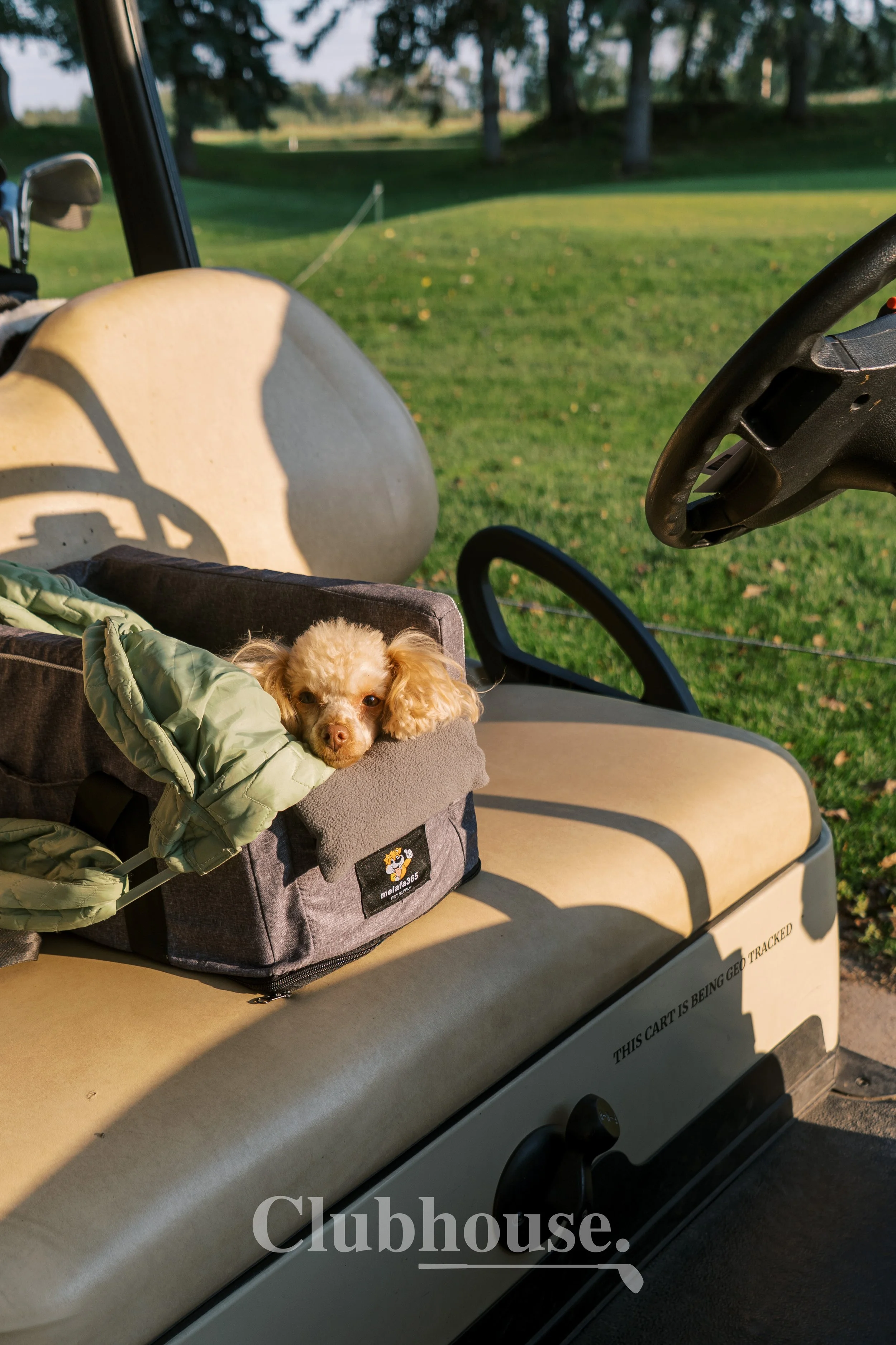 CLUBHOUSE_LadiesNight_20260828_0127.jpg