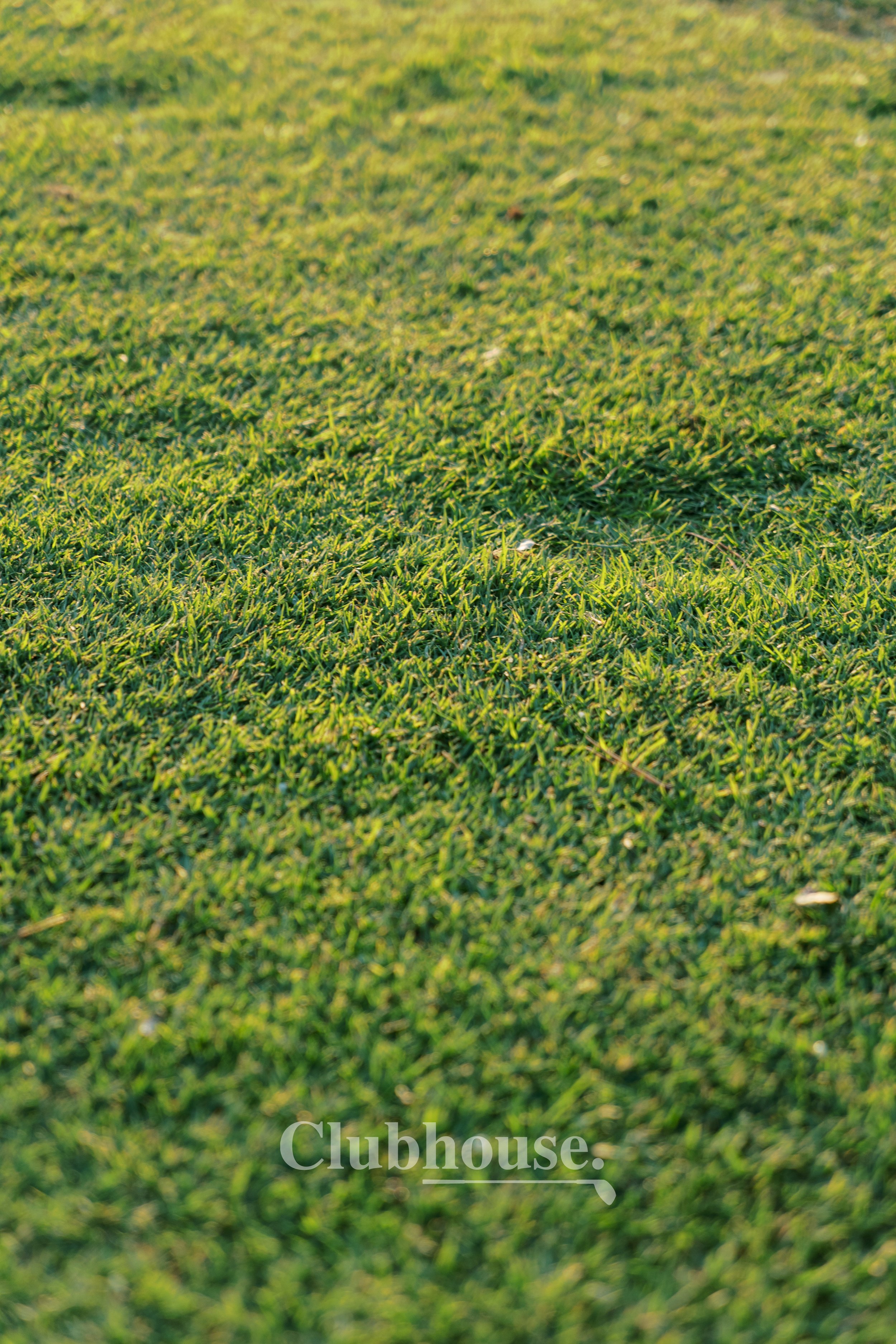 CLUBHOUSE_LadiesNight_20260828_0414.jpg