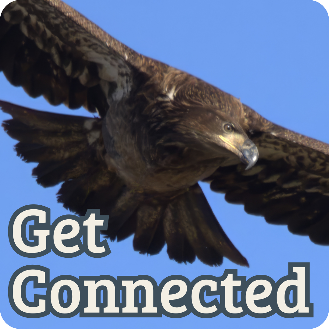 Get Connected