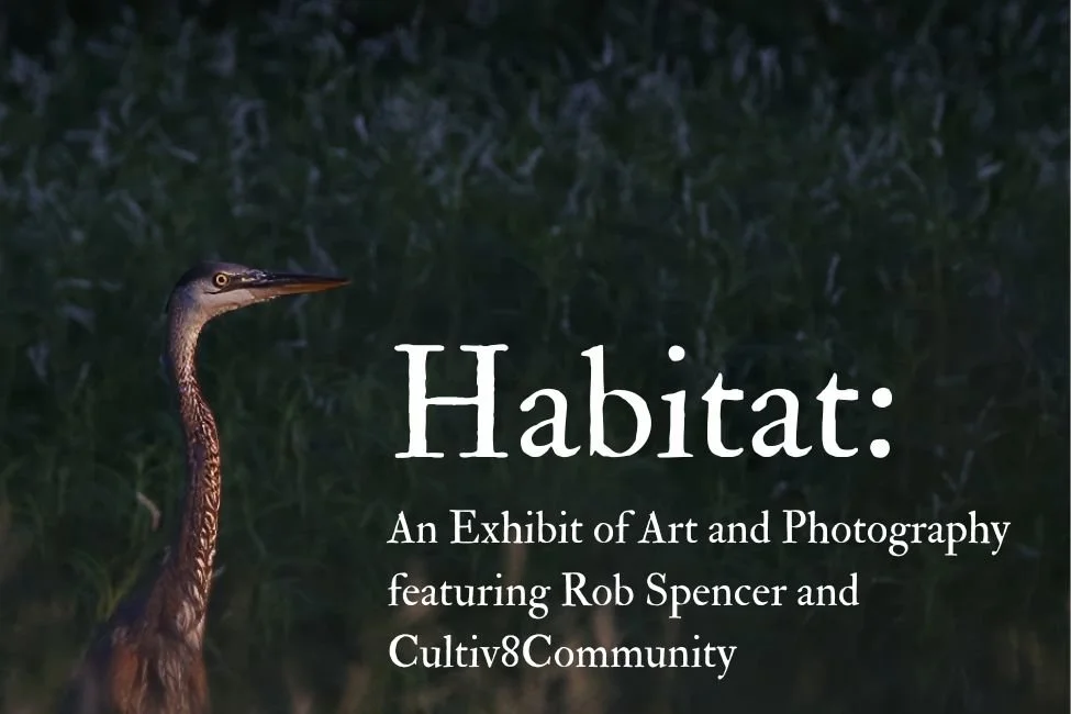 Habitat: an Art and Photography Exhibition