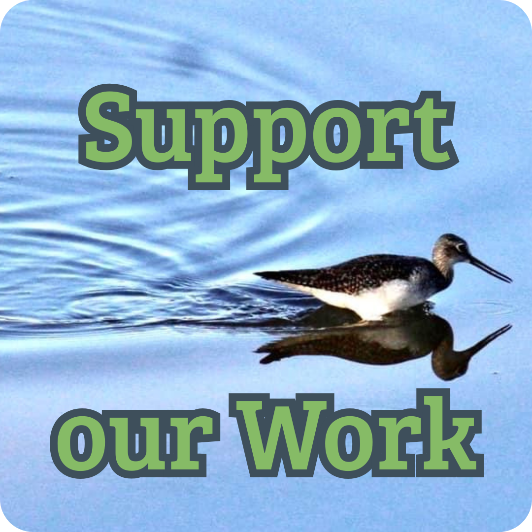 Support our Work