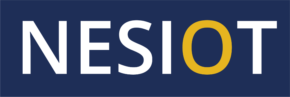 Presenting at NESIOT’s 3rd Annual Conference