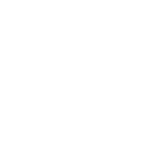 Black cat perched on a tree branch against the night sky