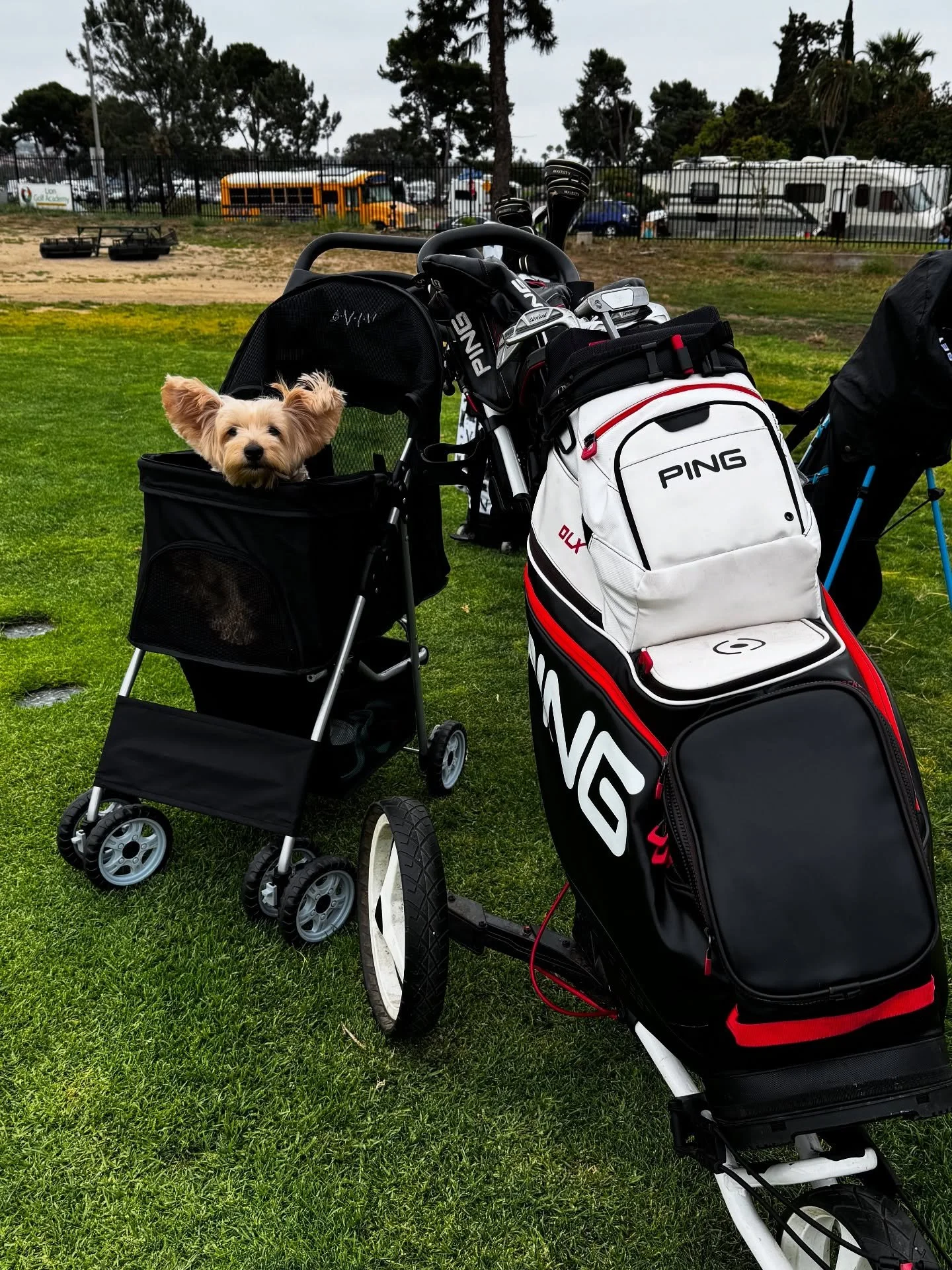 Another day another swing #golf #pingtour