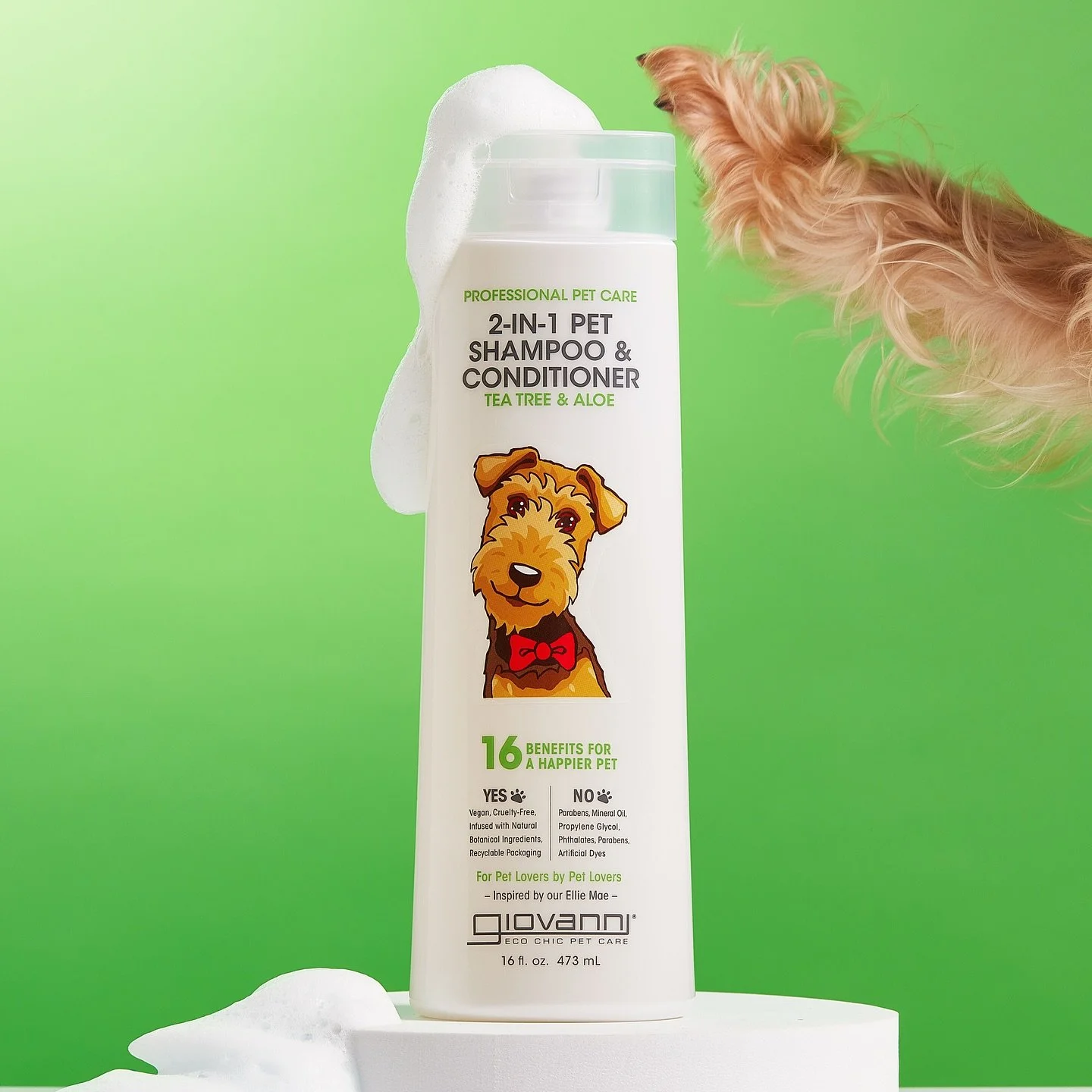 When you get tricked into working!! 😠💕

🐾 Me for Giovanni Eco Chic Pet
📸 photo by @madsofophoto 

#yorkie #yorkiesofinstagram #giovannihaircare #petcare