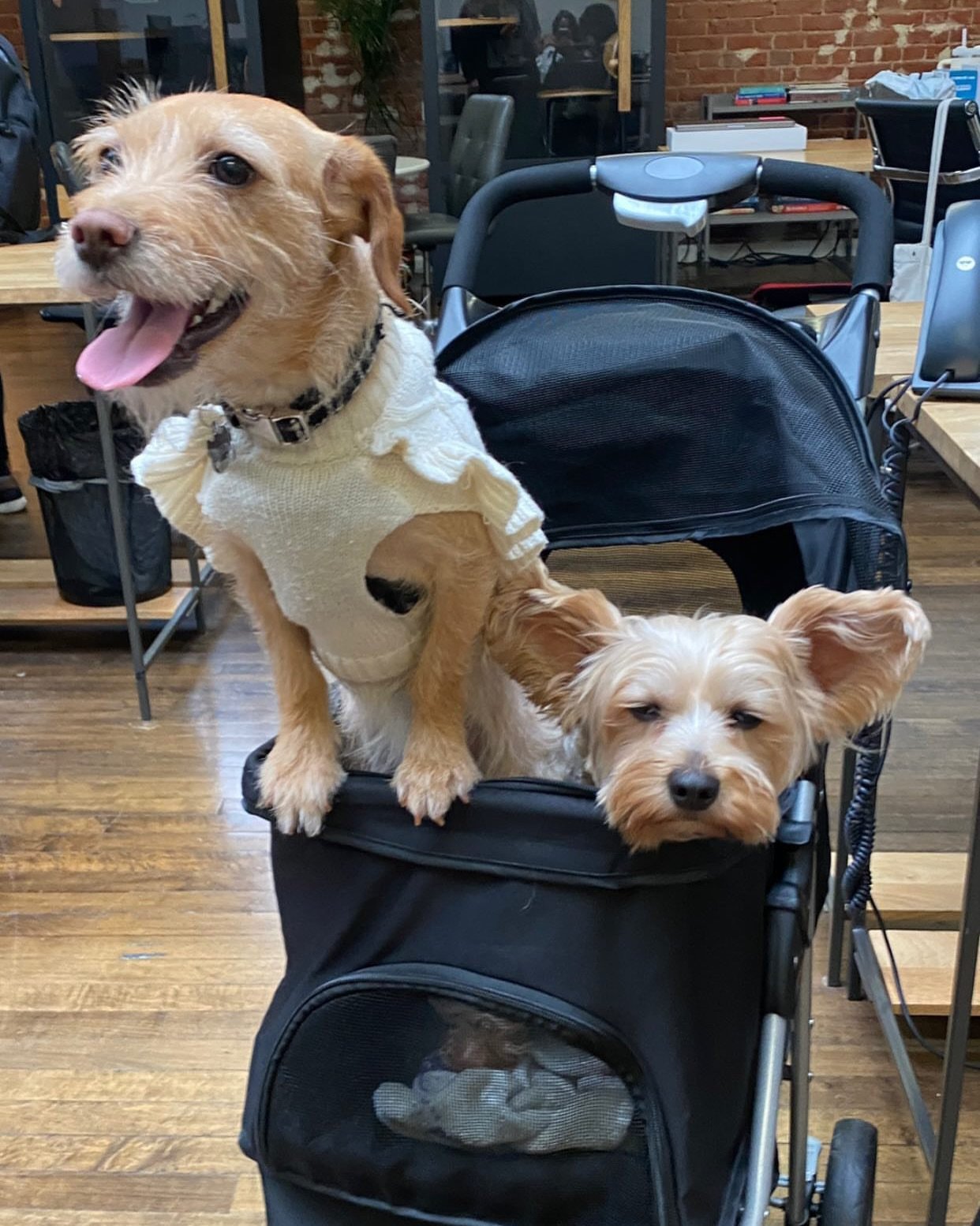 Work Besties 🤞🏼