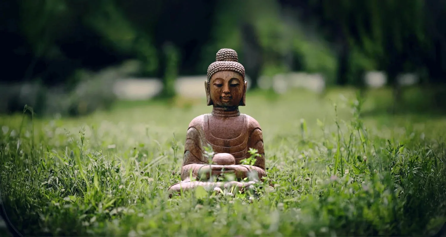 Sangha: The Rhythm of Stillness and Service – A Weeklong Retreat for MMTCP Graduates*