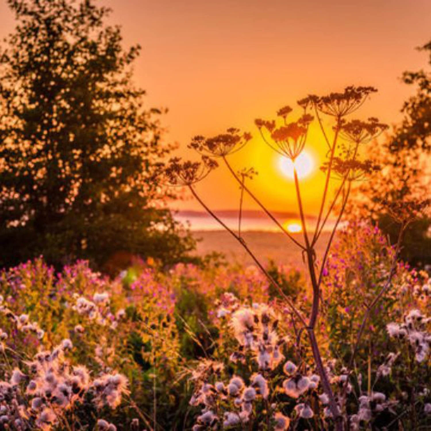 The Essence of Practice: A Community Weekend Retreat