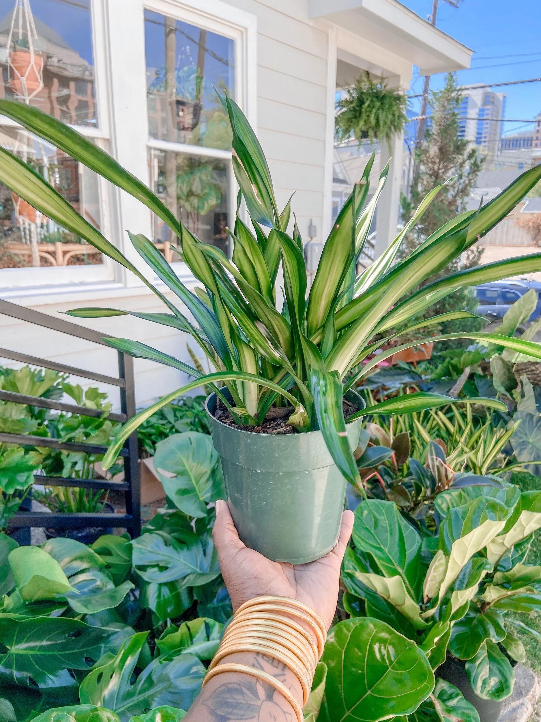 B688DCC8-A3D9-492F-A399-A2290B97B679