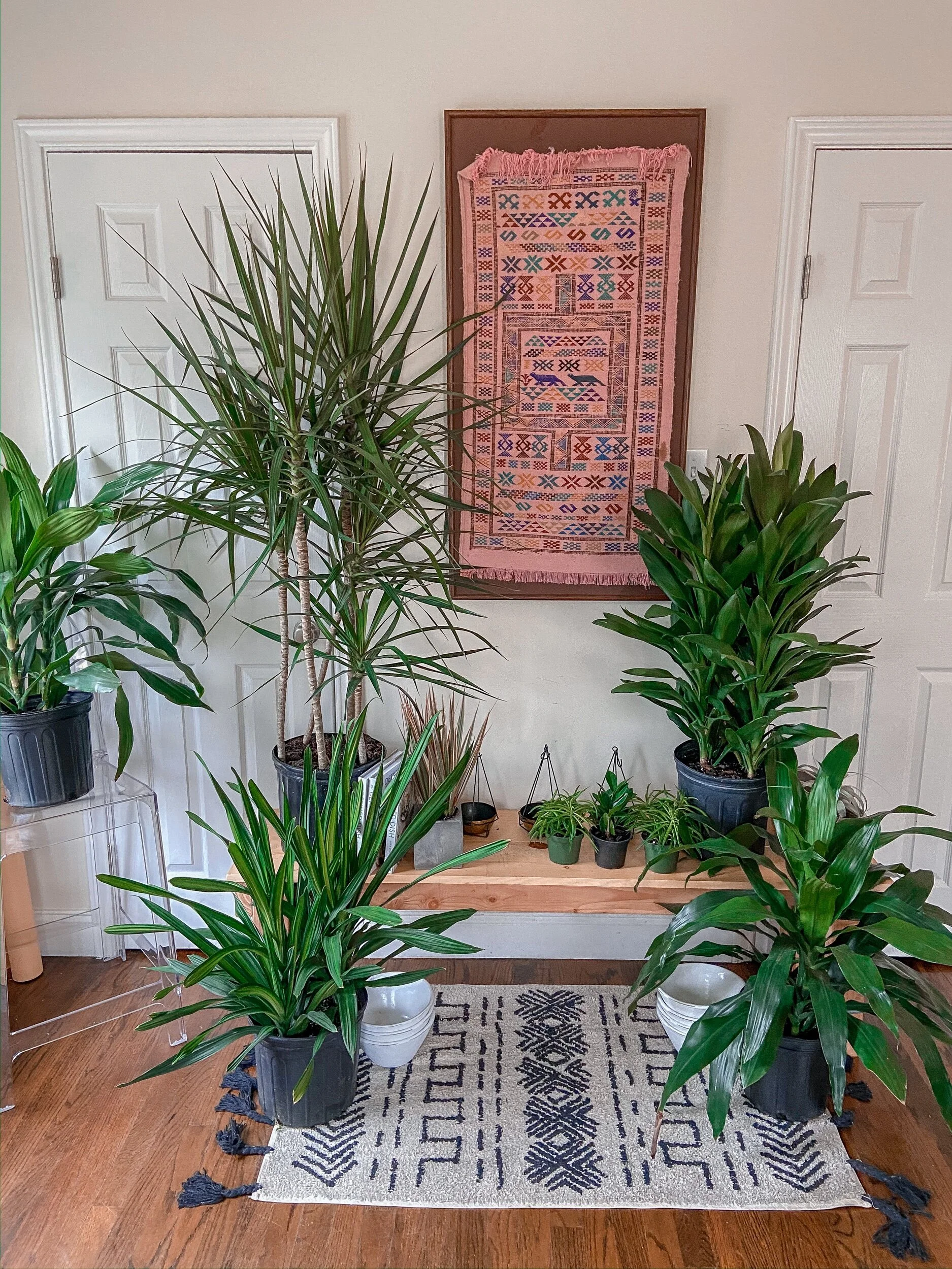 CEFD64D1-C0A6-4783-B88A-E66ADD676F75