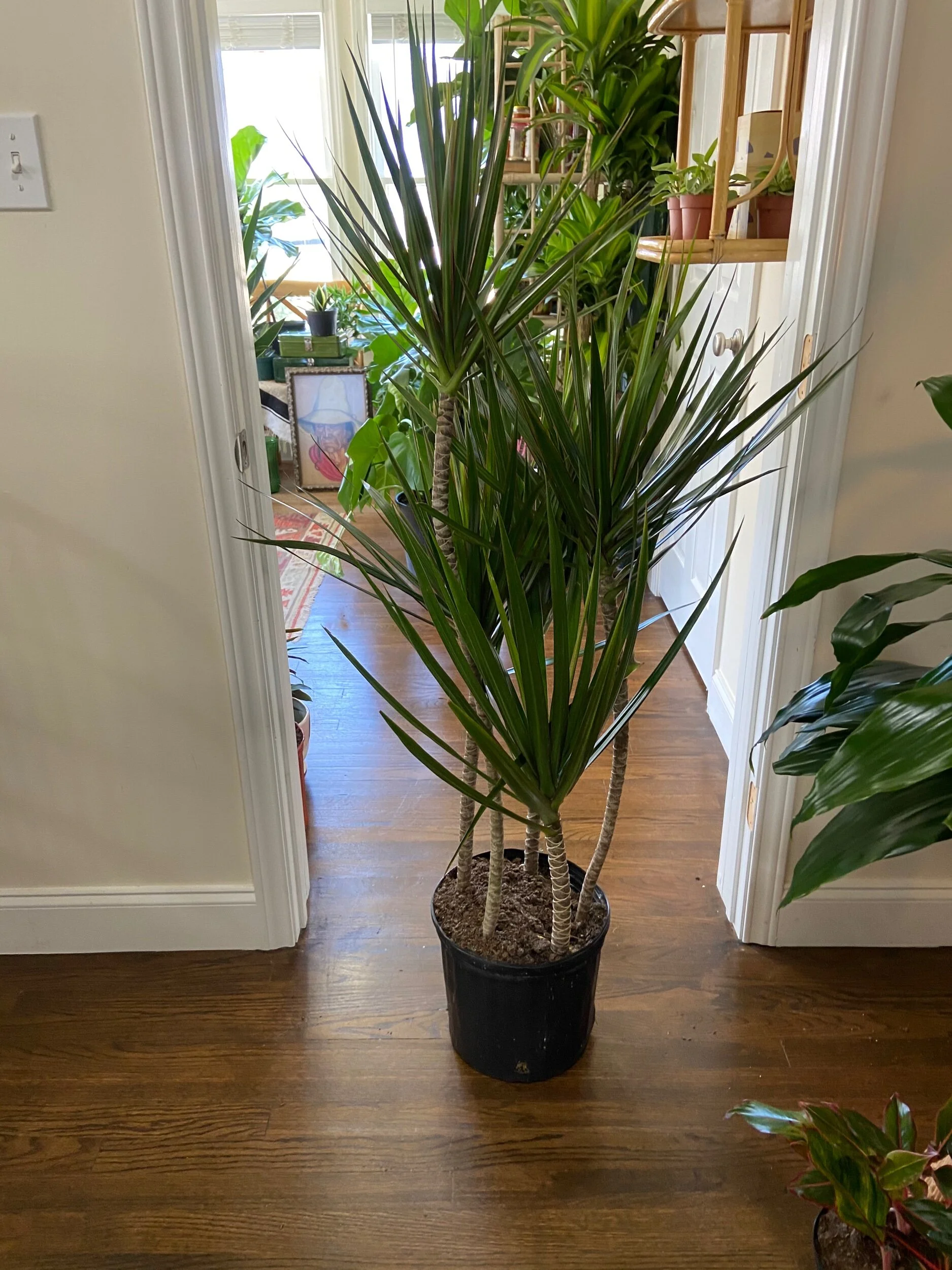 4C3DC13B-3CBB-4F4B-B894-EFBE943536BF