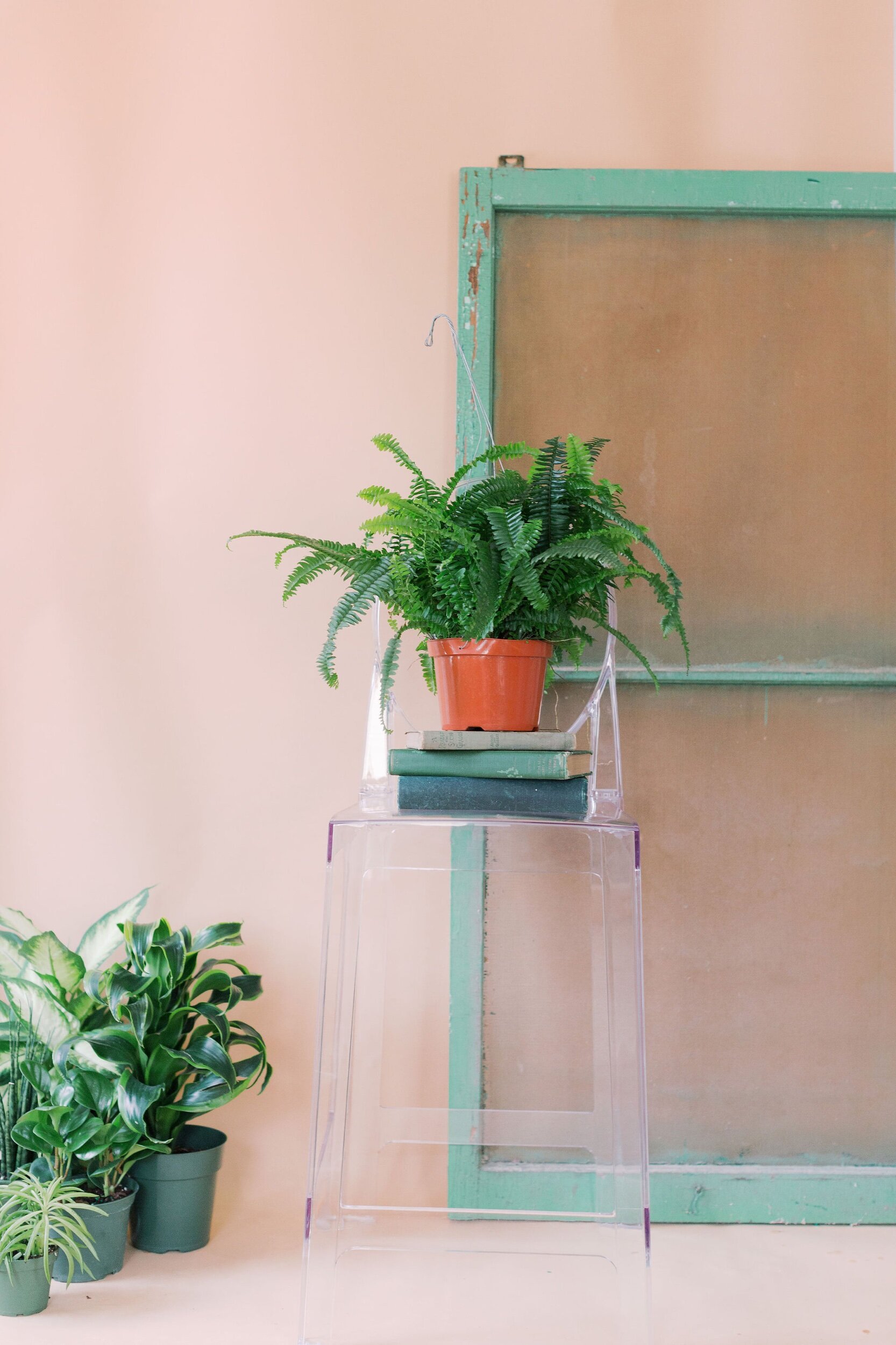 4E4431D9-4231-407C-991A-26B876C93311