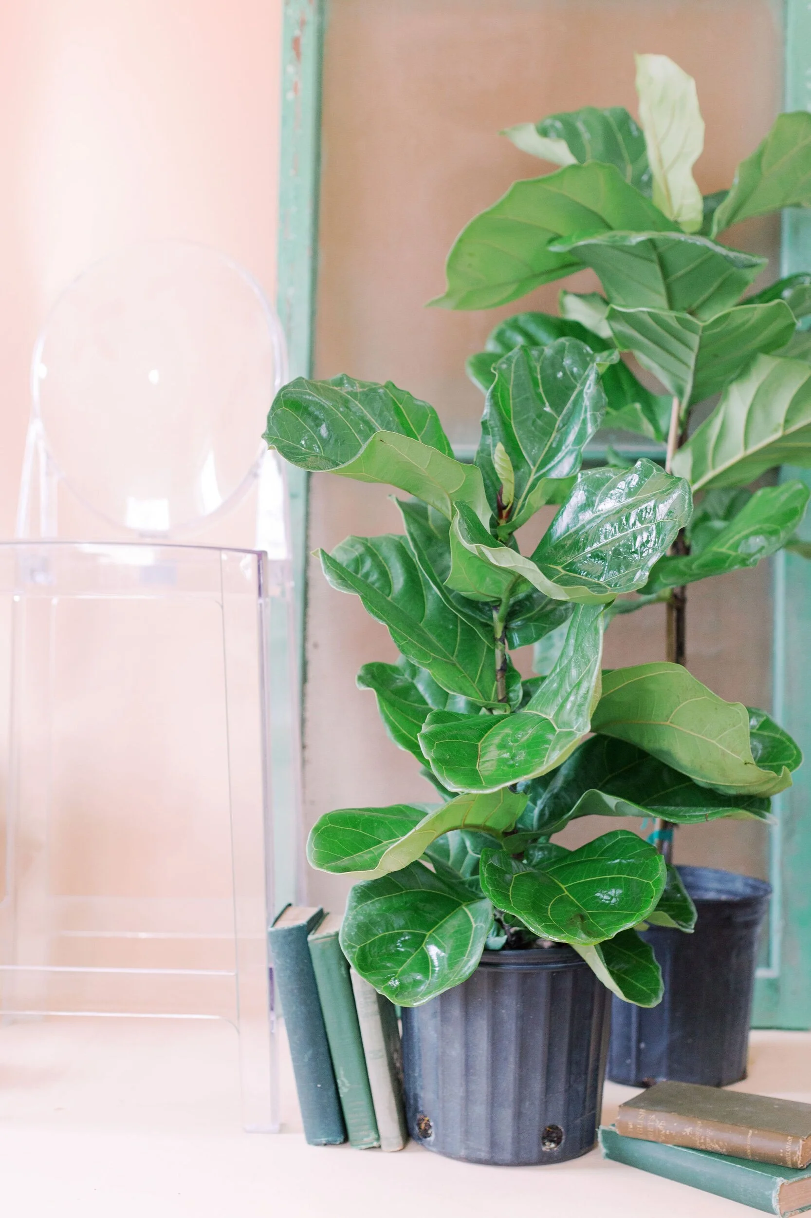 DE227ACF-7FBC-4140-B8E6-F0A0C22B070A