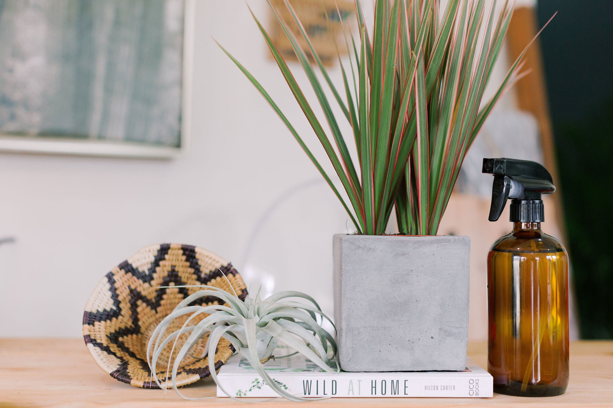 27C3D370-151C-477C-B78A-5DA2C1514A3D