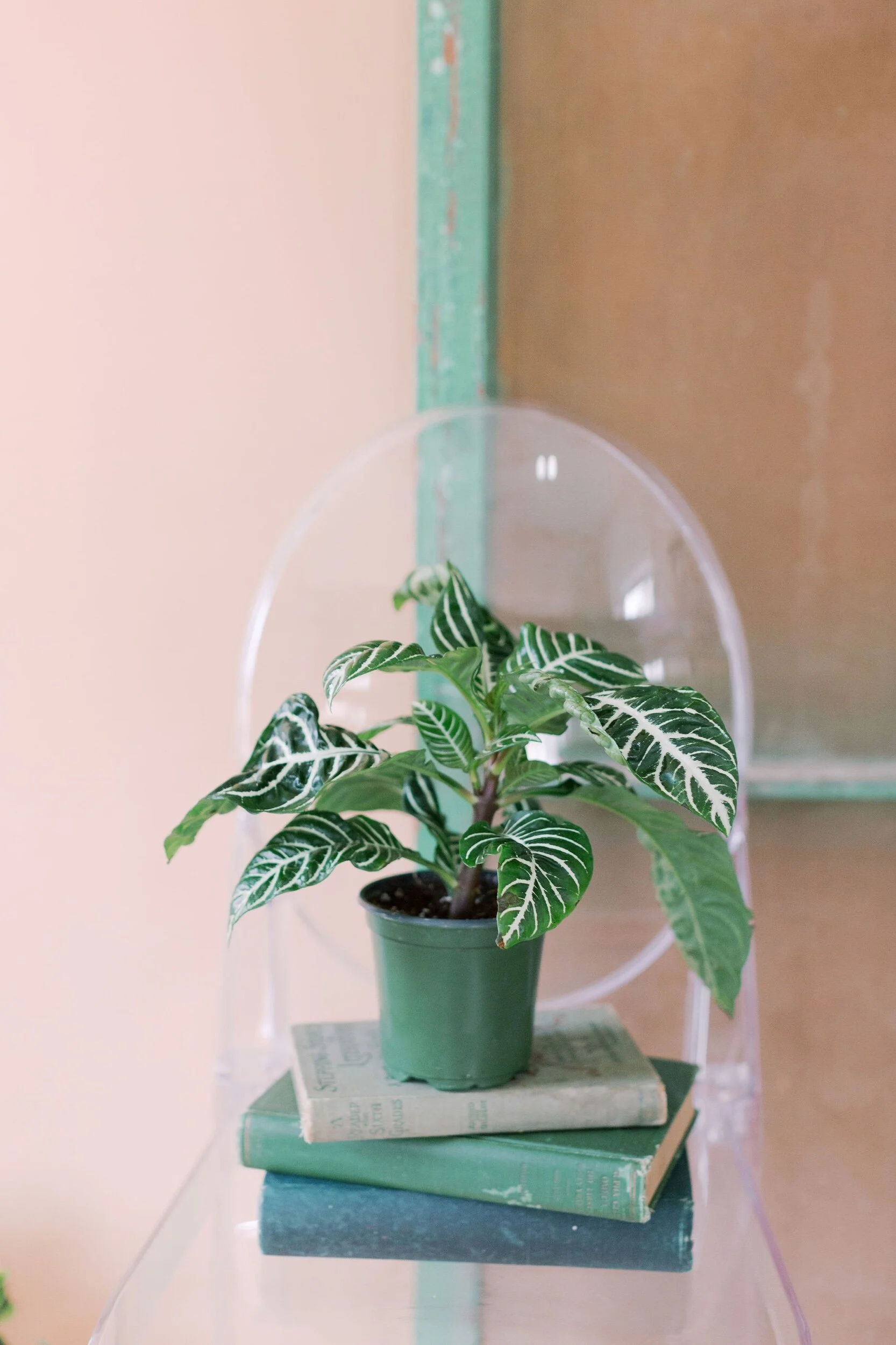 35C3869B-C126-4DBD-8BD7-F503E721A3A7