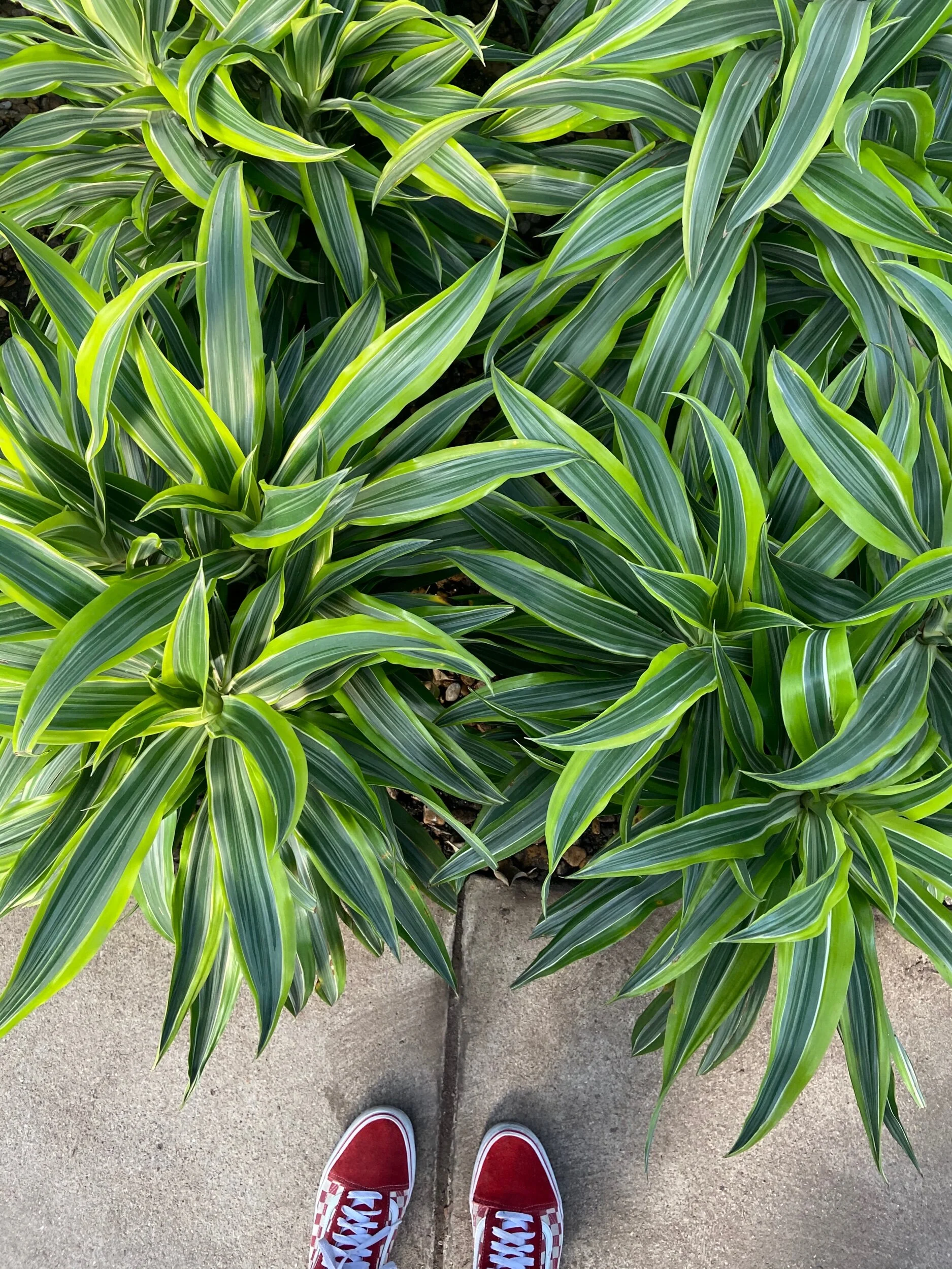 8C5200BF-43FC-41F9-920A-045F461FD2FE