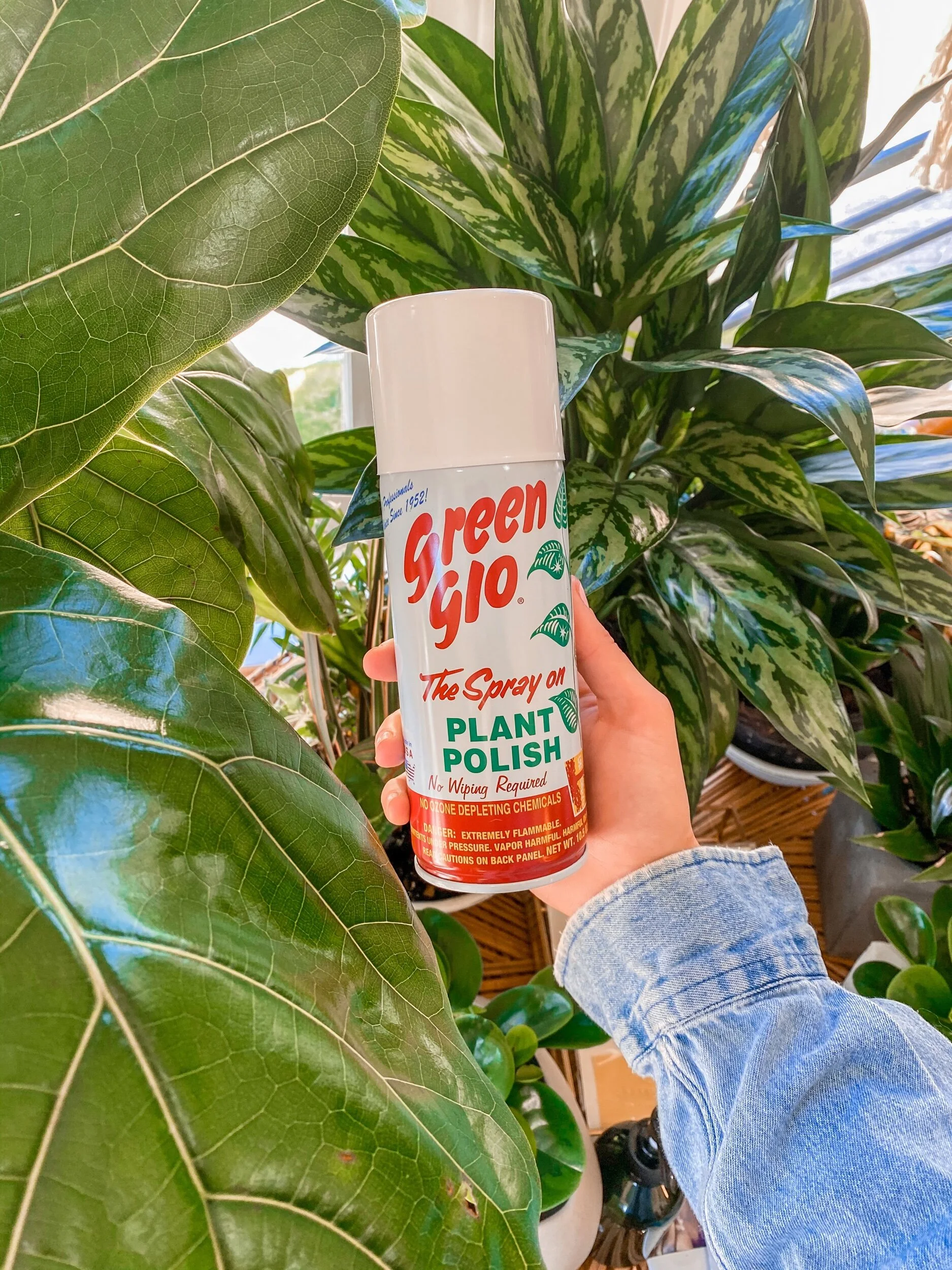 34D0602B-F7AD-43F5-A90D-2DF5735D3C7F