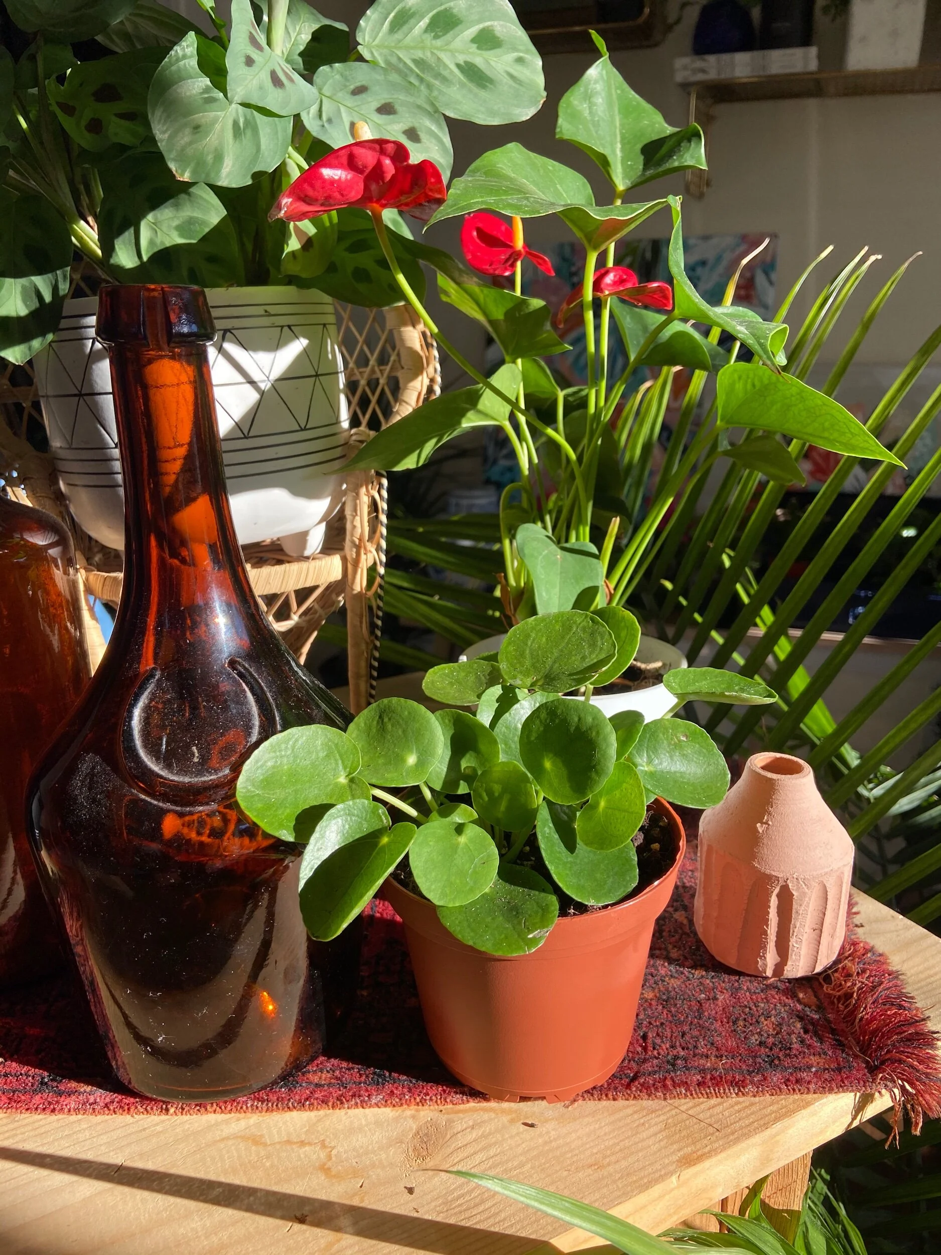 F33F2247-D935-4904-8C9B-3A3032AD04D9