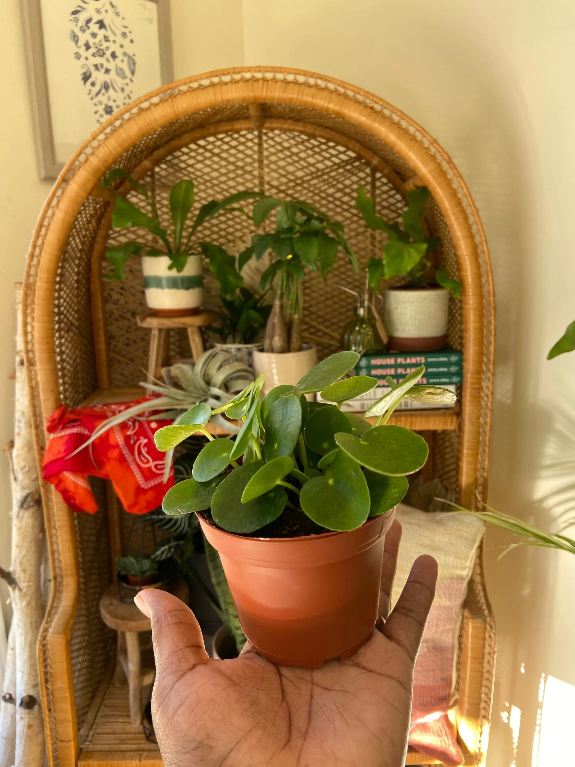 020F681D-25E9-4649-9C44-9499BAD8232D