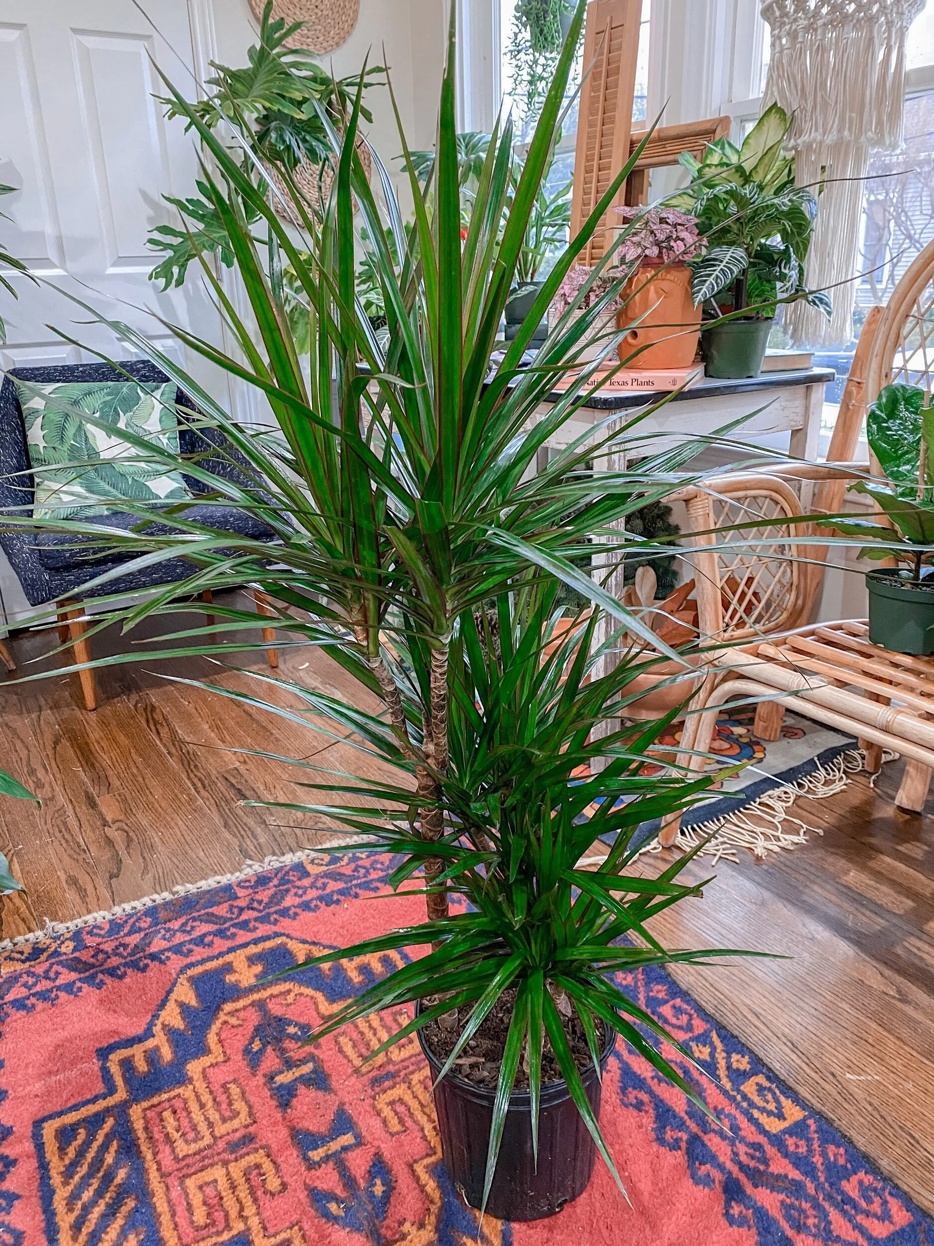 D473504F-0D42-47D1-BBD2-00DB55EC7A5B