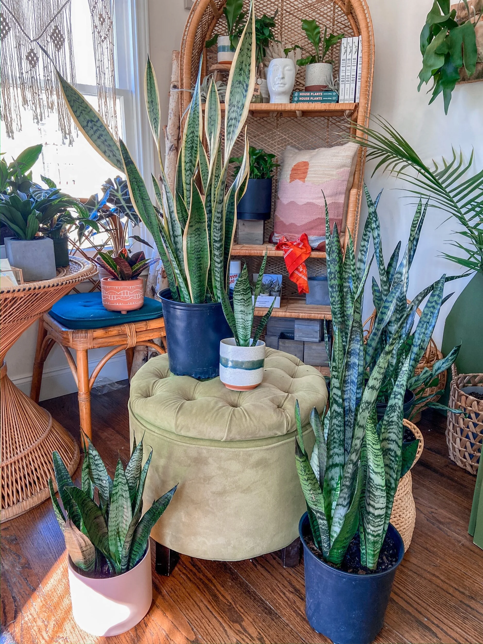 0999F80F-EF5C-4924-B986-704853889D6B