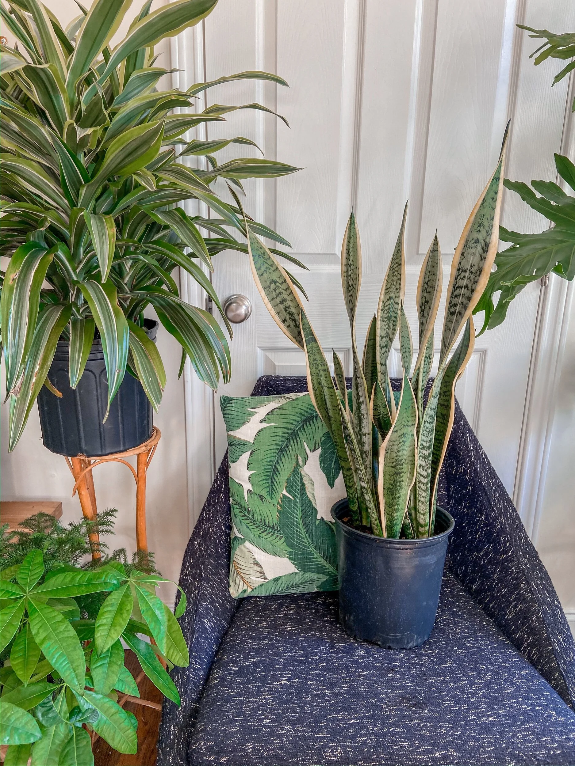 ED8A8DAB-270F-4BE9-B256-85F9B7A50A8F