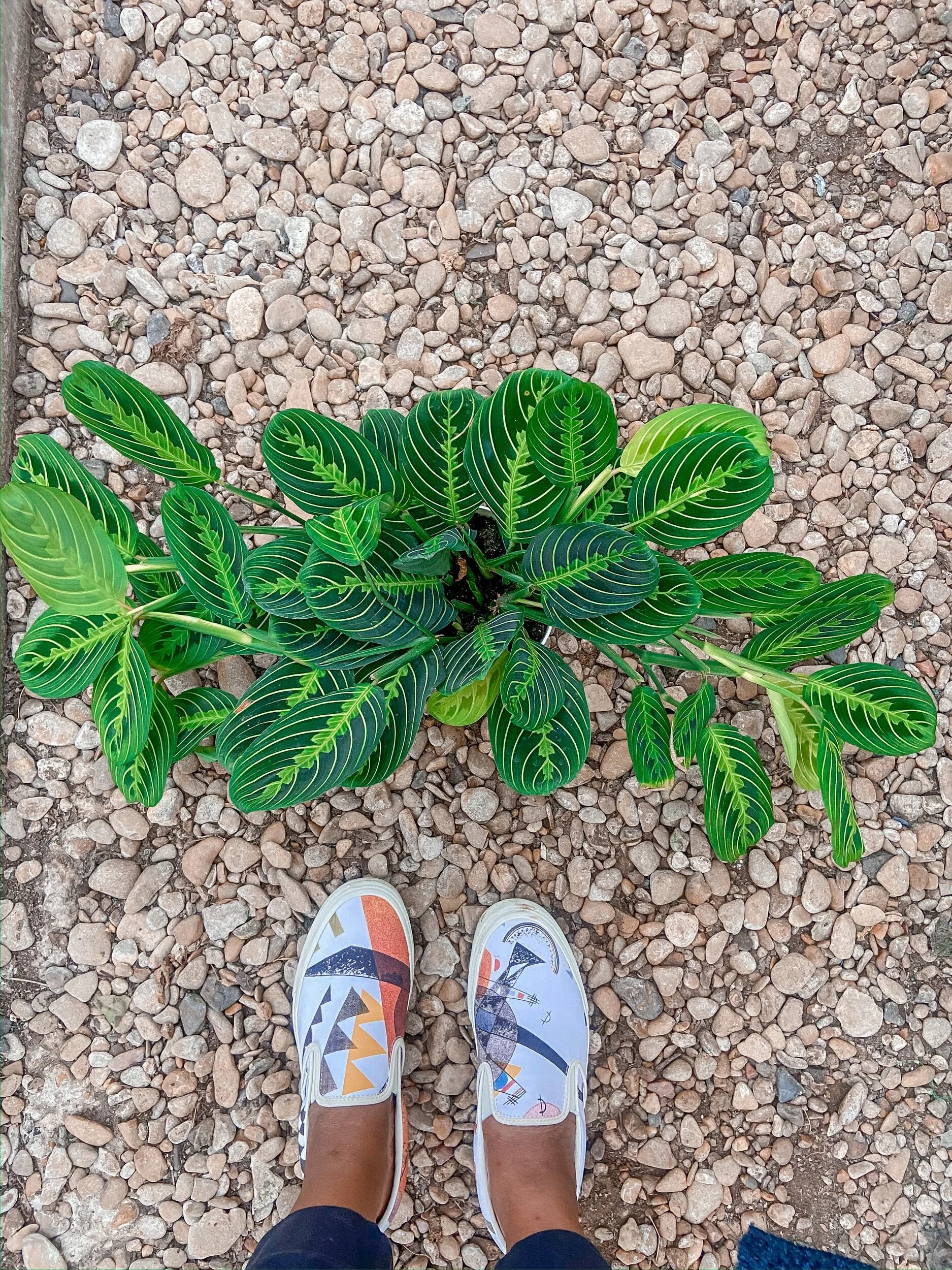 285FC9F9-C34C-44E5-B012-801F095390D8