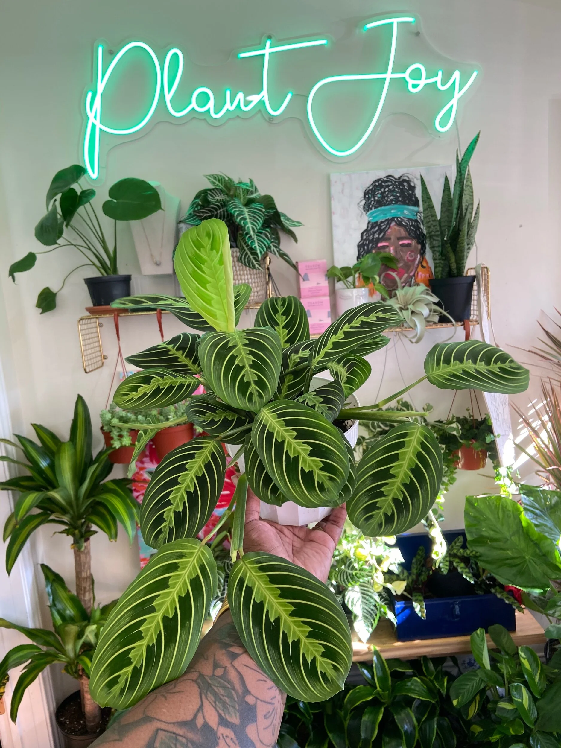 309E6D71-3663-4C92-8044-FEC138DA8BC4