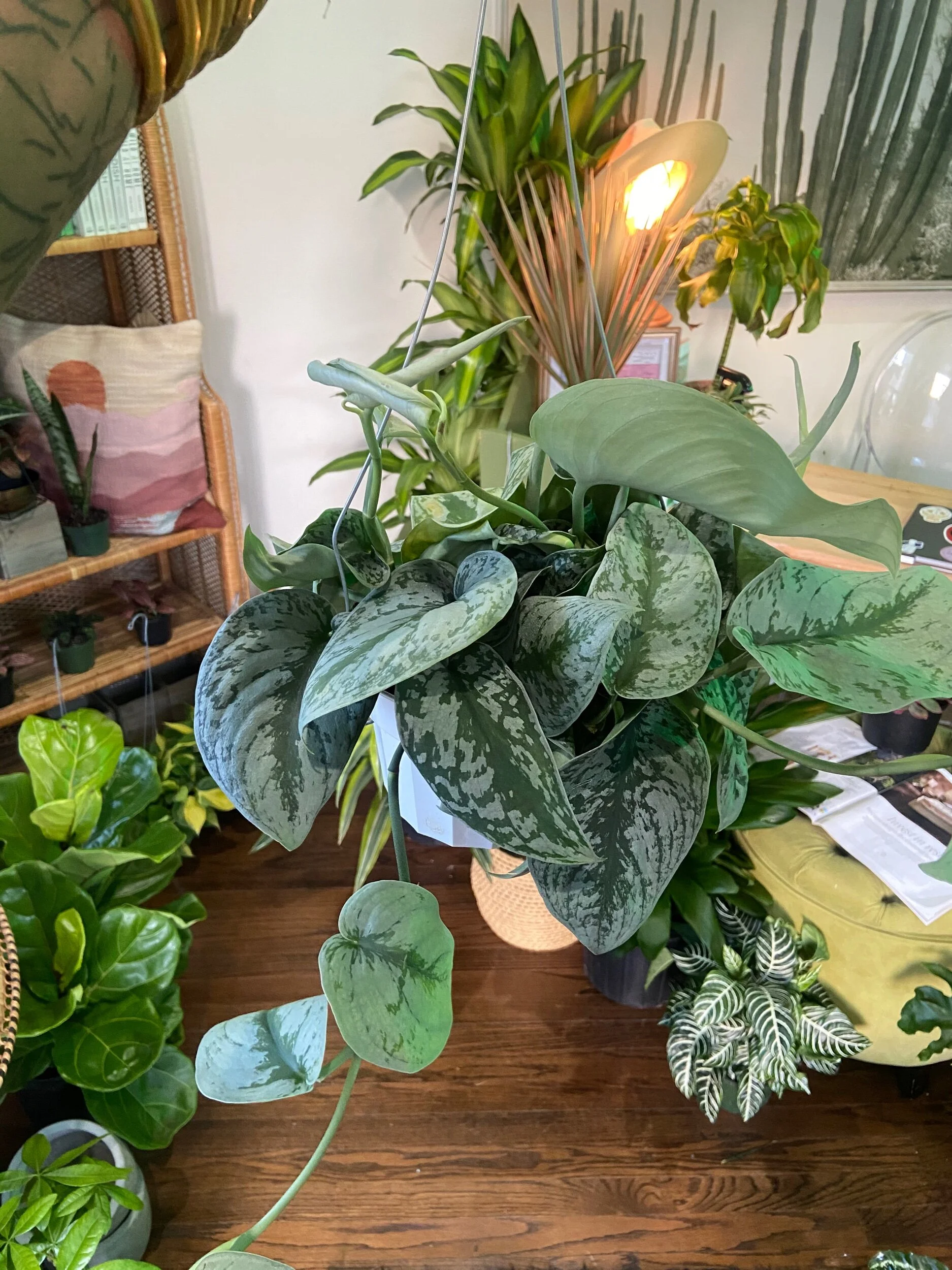 6E8C396B-881E-402A-B0AB-6EDFEECBC54D