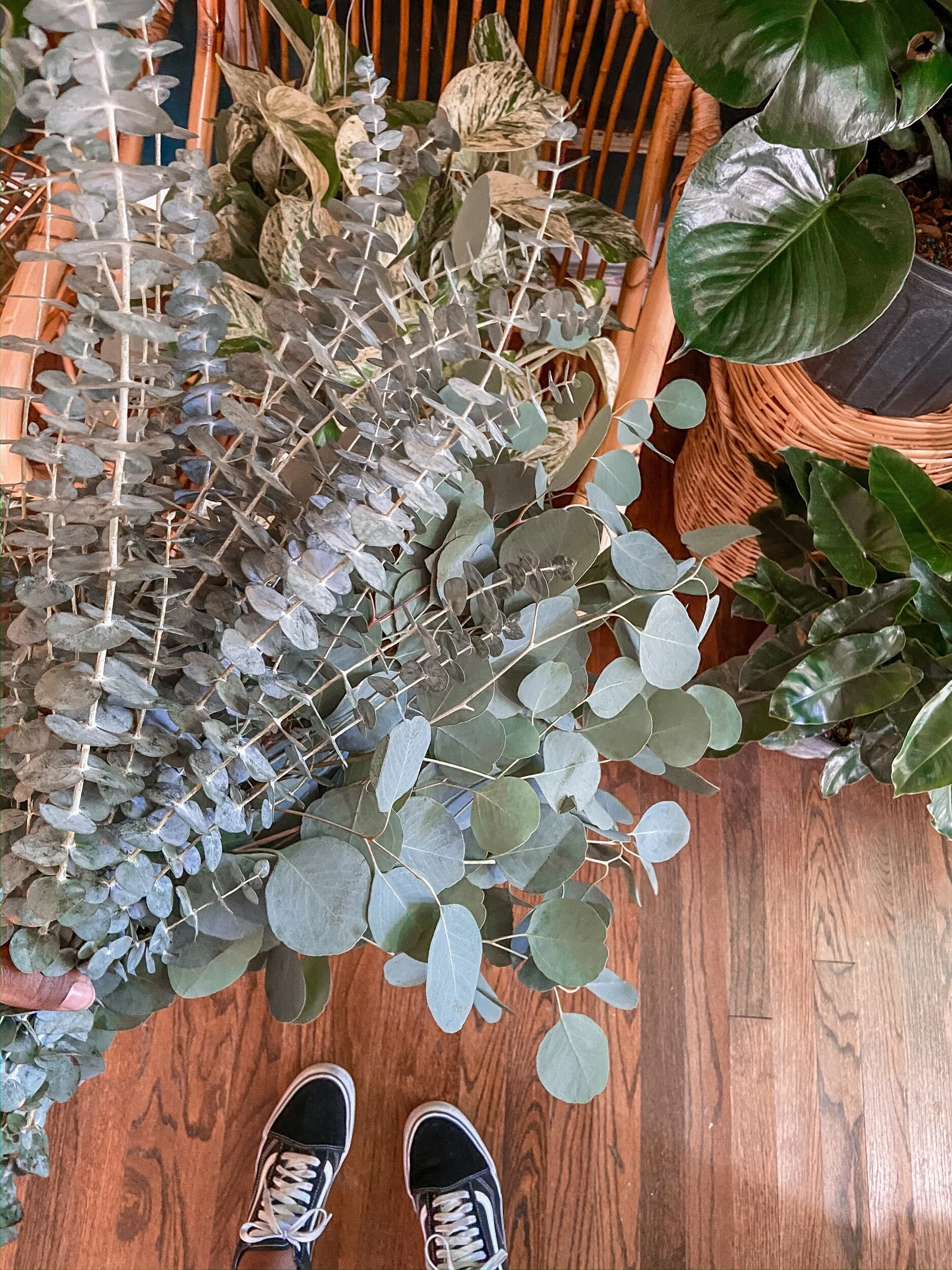 47D4DBC1-27EB-4C02-AD7B-25C0C6604CE8