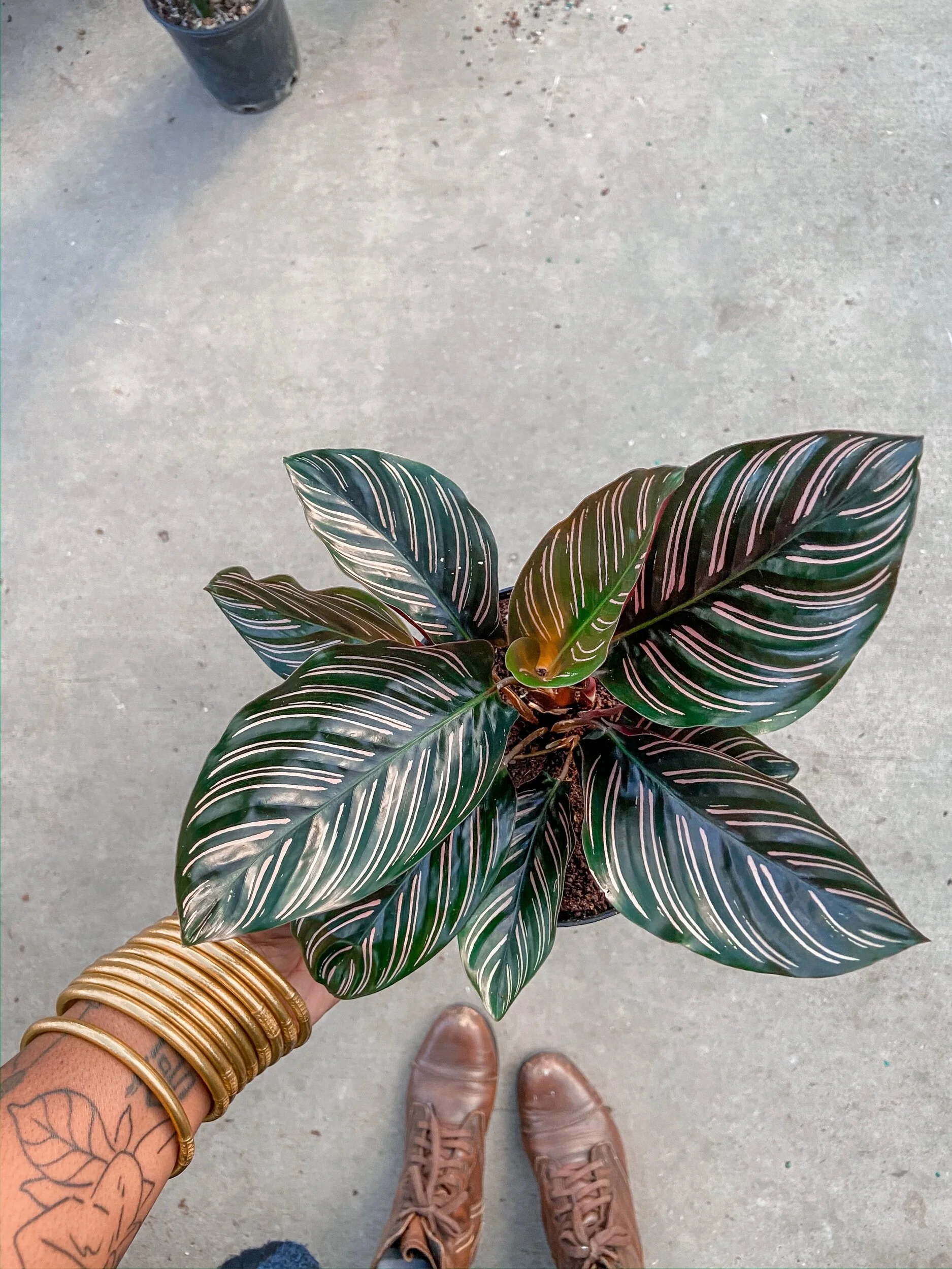 9186B022-4EDA-4440-923C-11D6A2A1AAC5