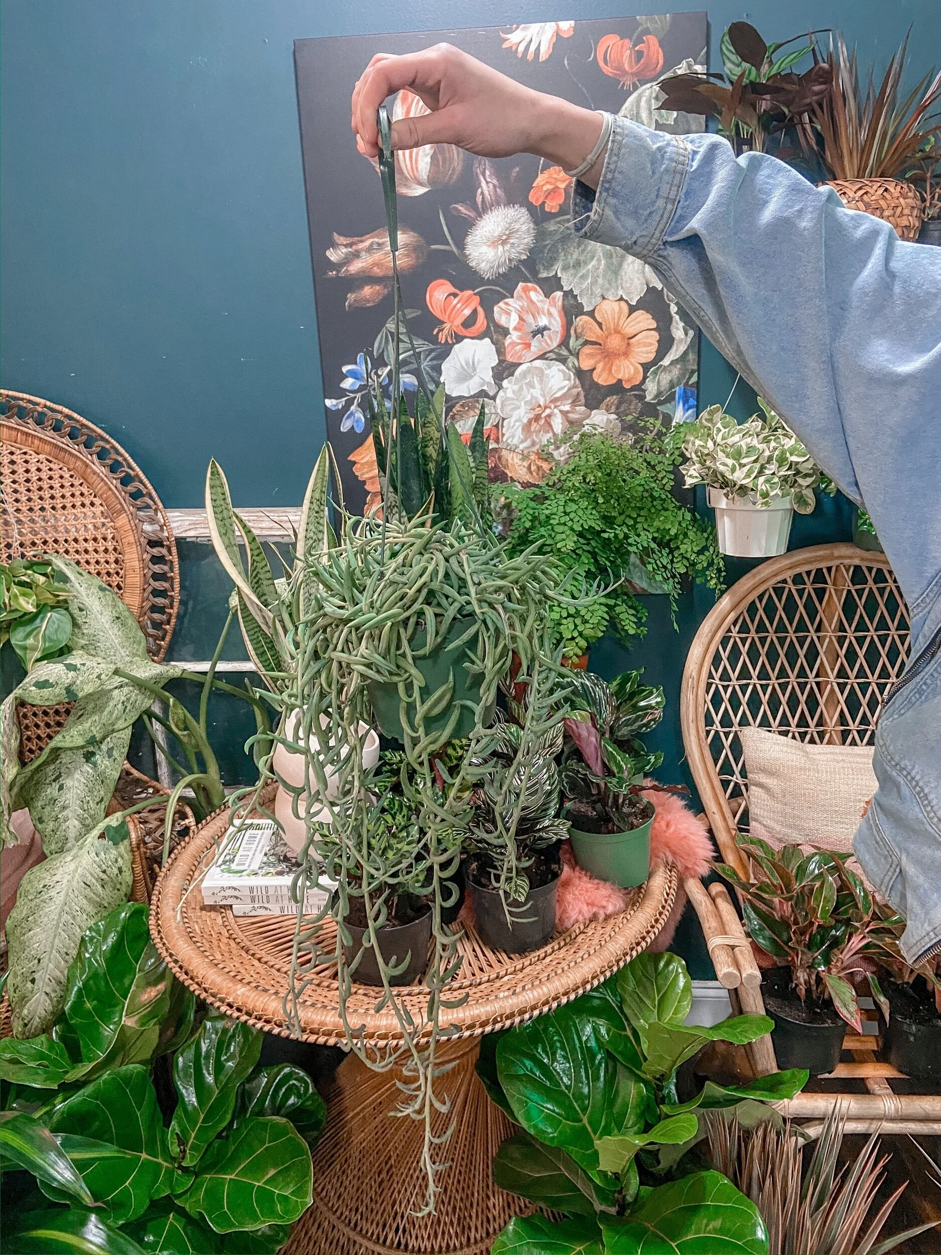 607104DE-0FCC-48A3-AFD7-47F90D4C869D