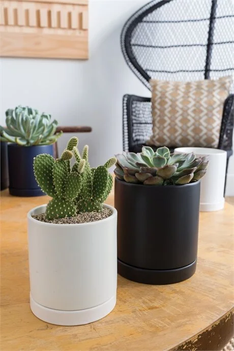 2E8A2FCD-6E26-4708-AE58-0A989B8231AE