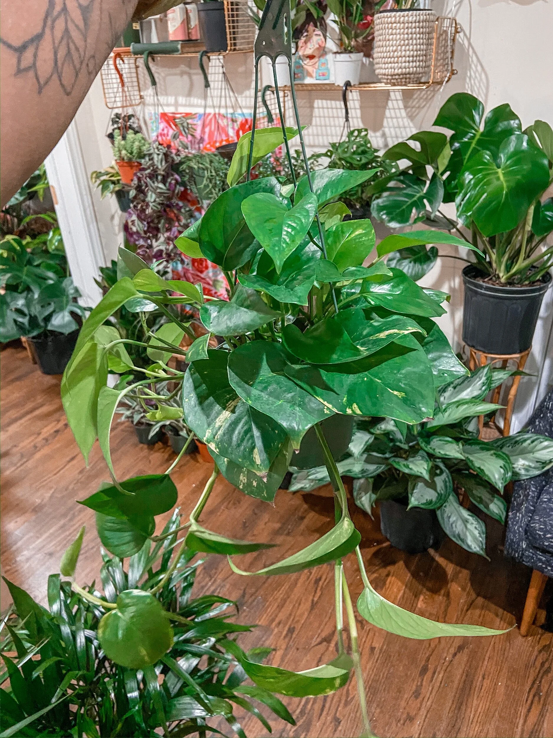 49065673-CD85-4F03-B58C-600BF367EB85