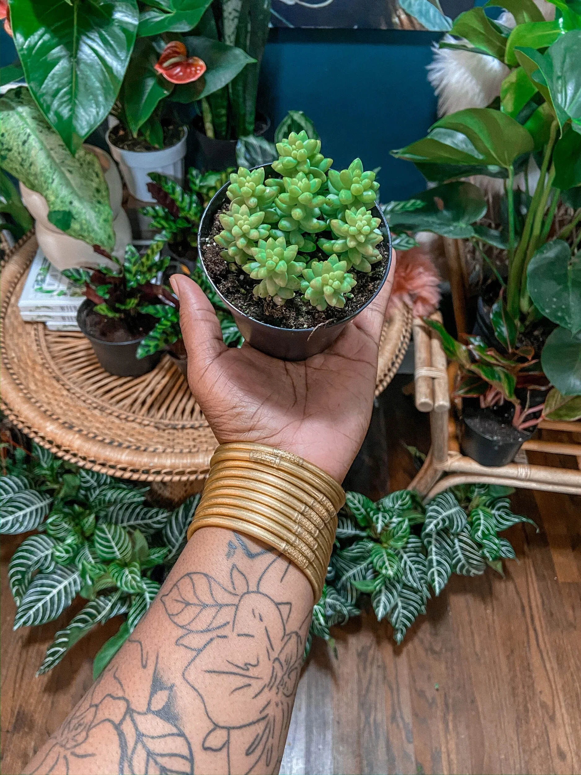 B574FC77-49C2-4D96-B5F8-3C5526CFA162