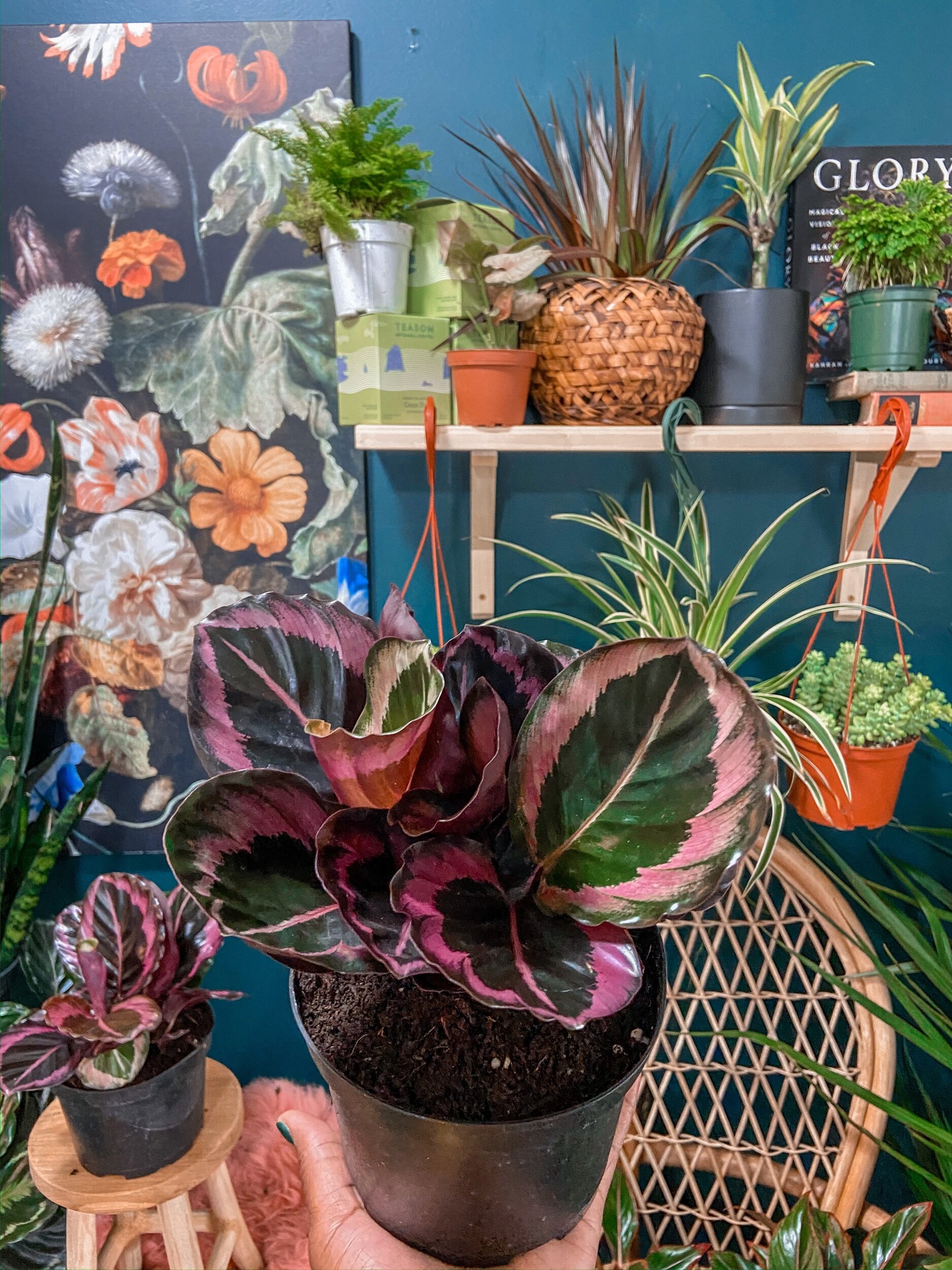 E542A7A5-5513-418C-9417-61C1D9AABCCF