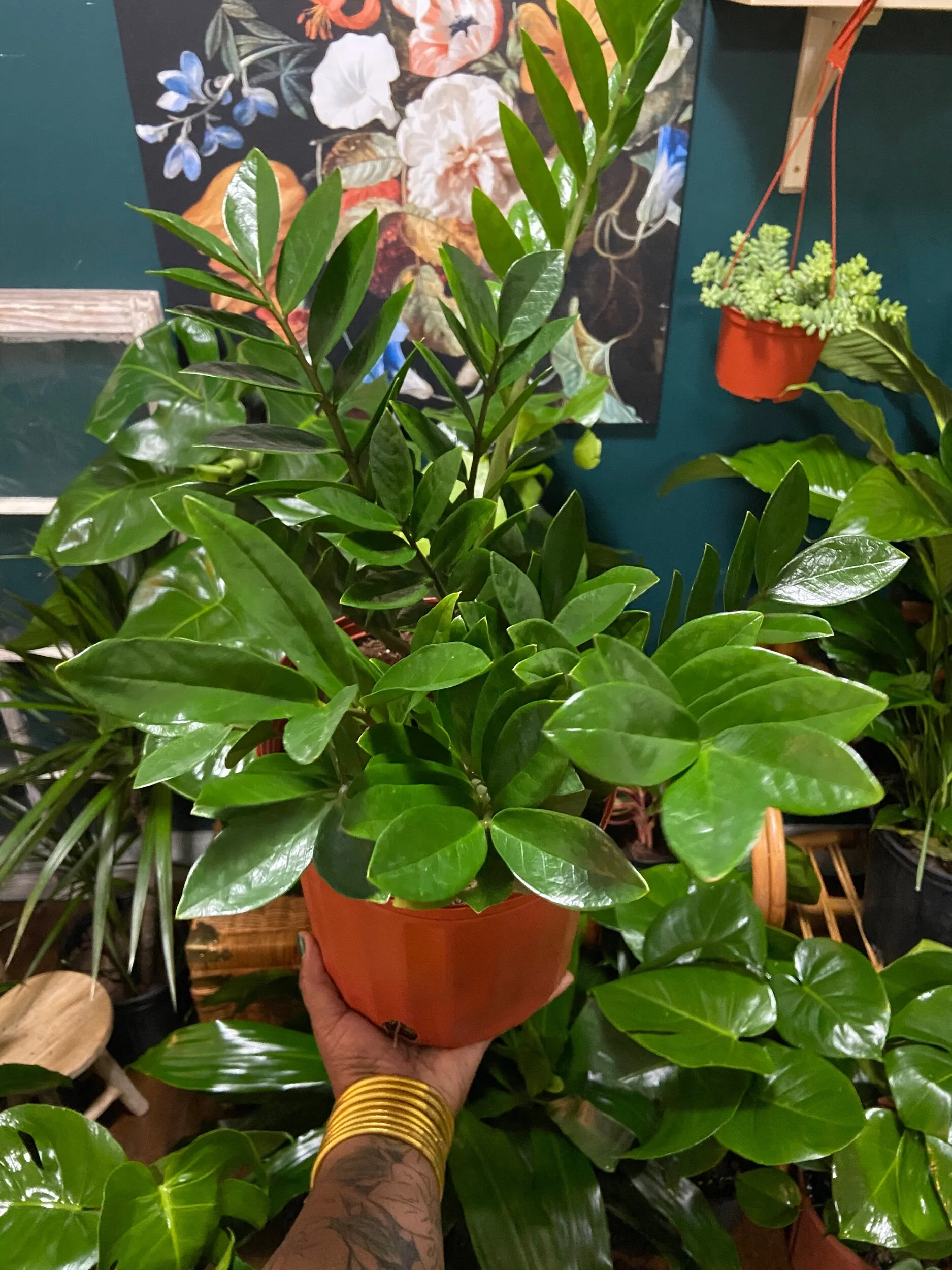 64813CD1-7E2B-4A27-9110-FB99C9149173