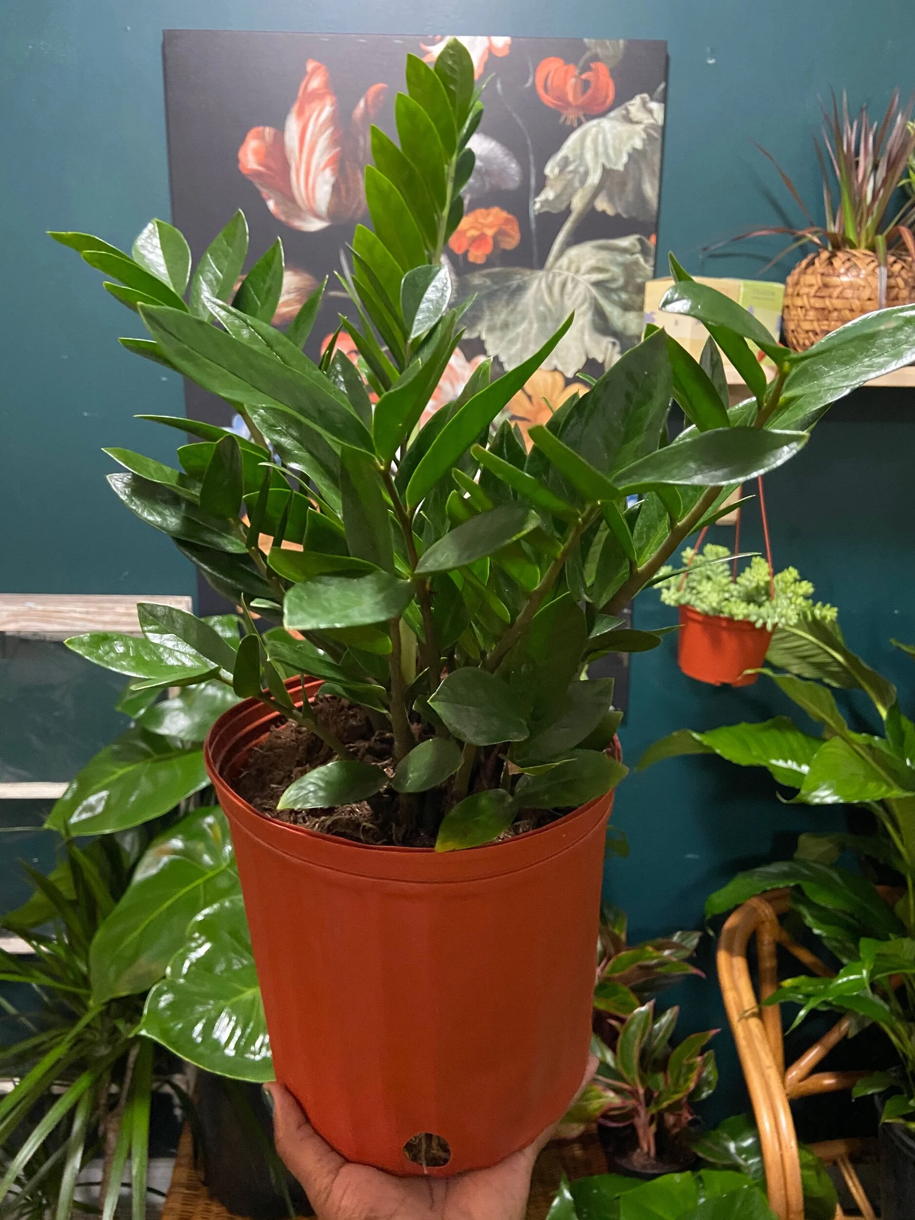 529F1D9C-7164-4C03-8290-C4ADE3A5A361