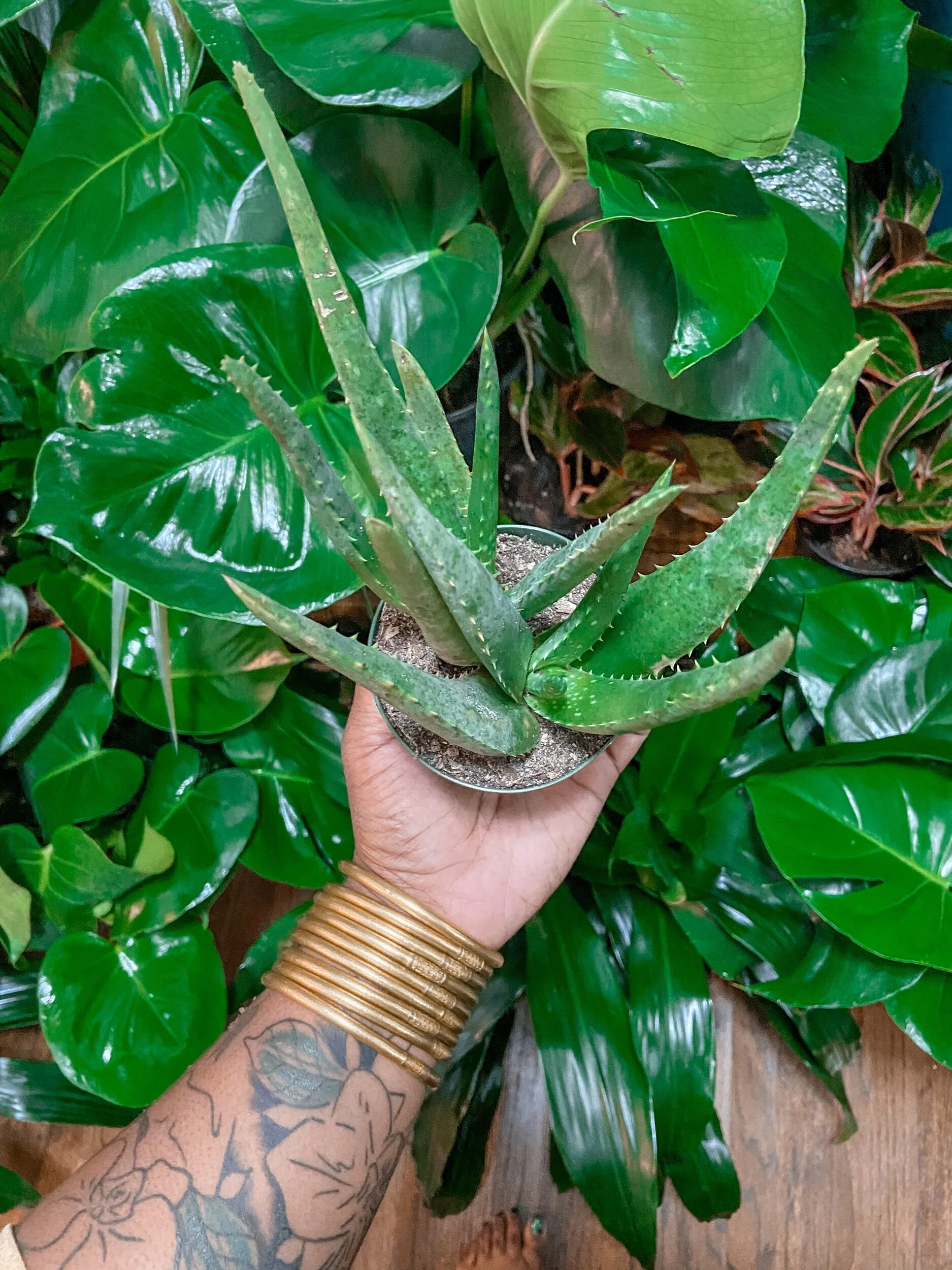 C649B1D1-DCD5-4380-A67D-BFC54B8869A0